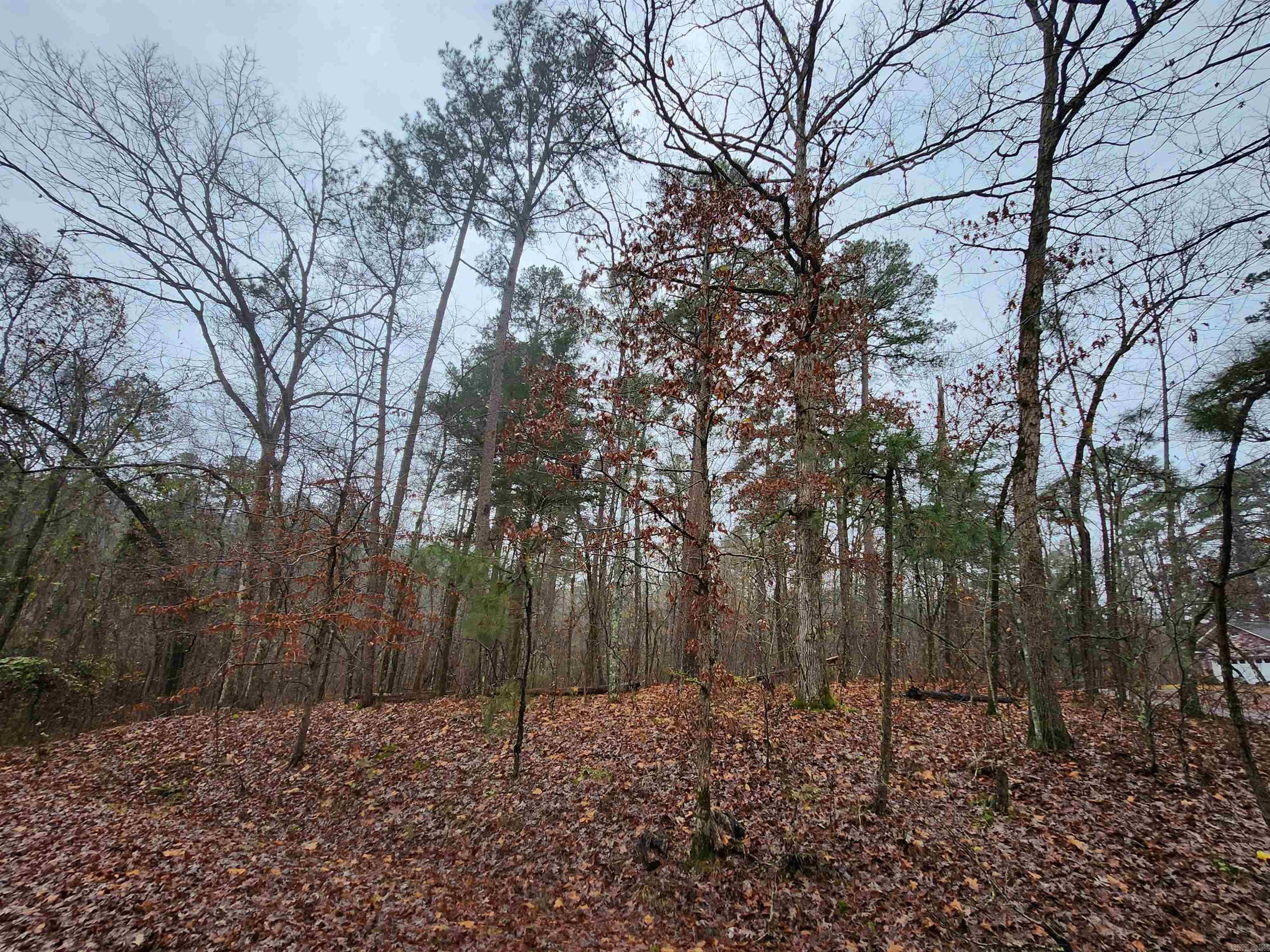  Quijote  Hot Springs Village, AR