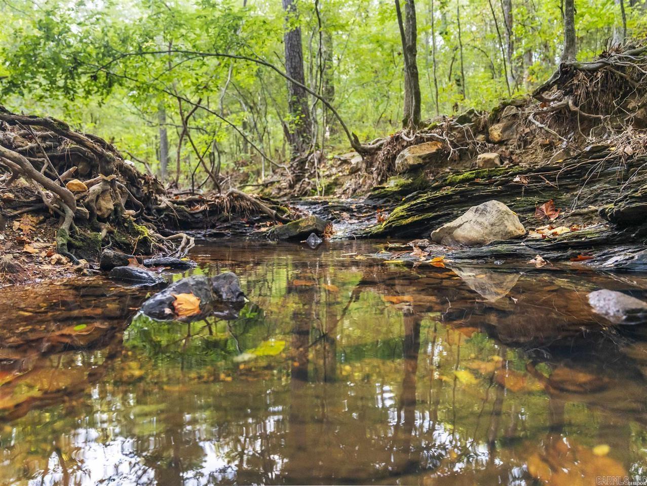 217 Wildflower Court Hot Springs, AR 71909