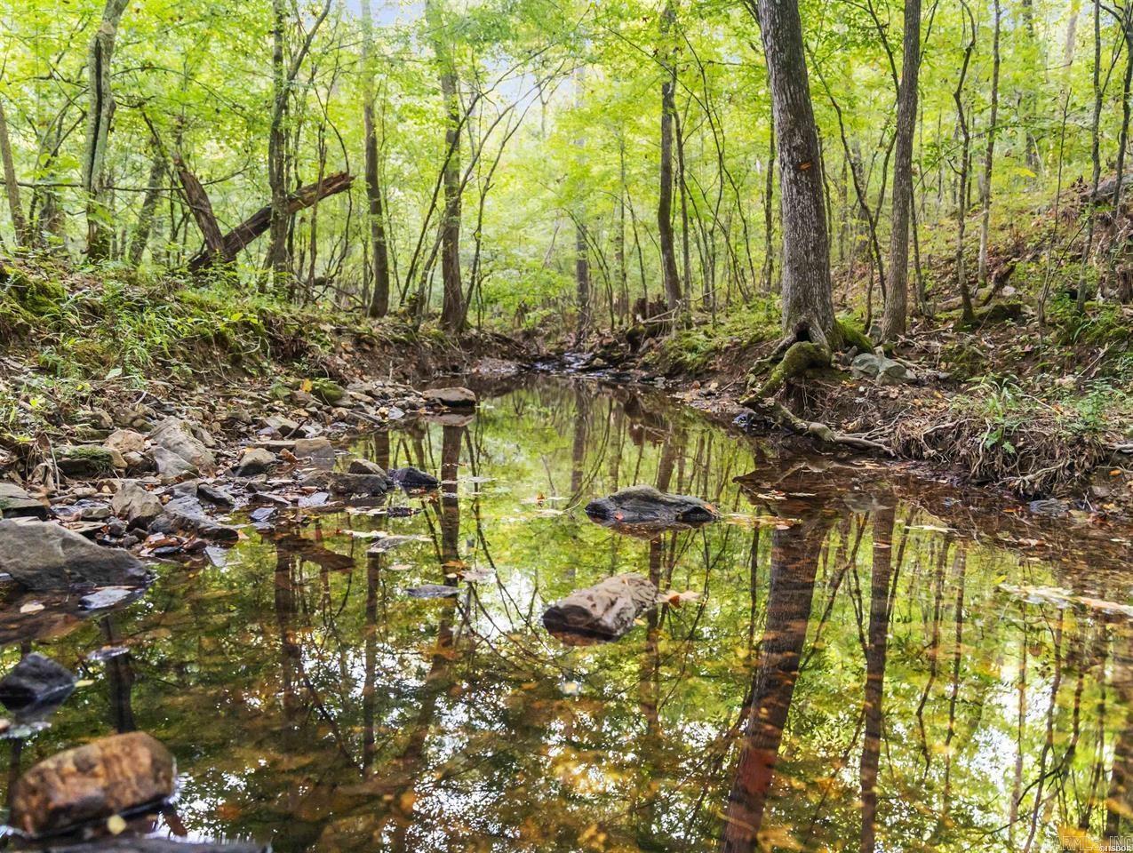 217 Wildflower Court Hot Springs, AR 71909