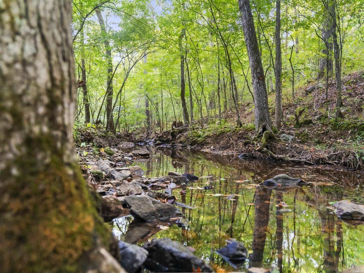 217 Wildflower Court Hot Springs, AR 71909