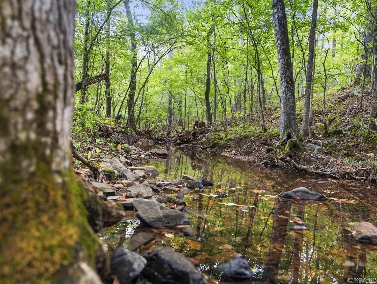 217 Wildflower Court Hot Springs, AR 71909