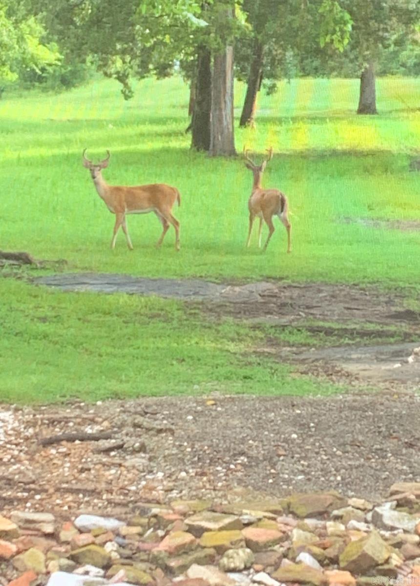 17735 S AR 9 Highway Melbourne, AR 72556