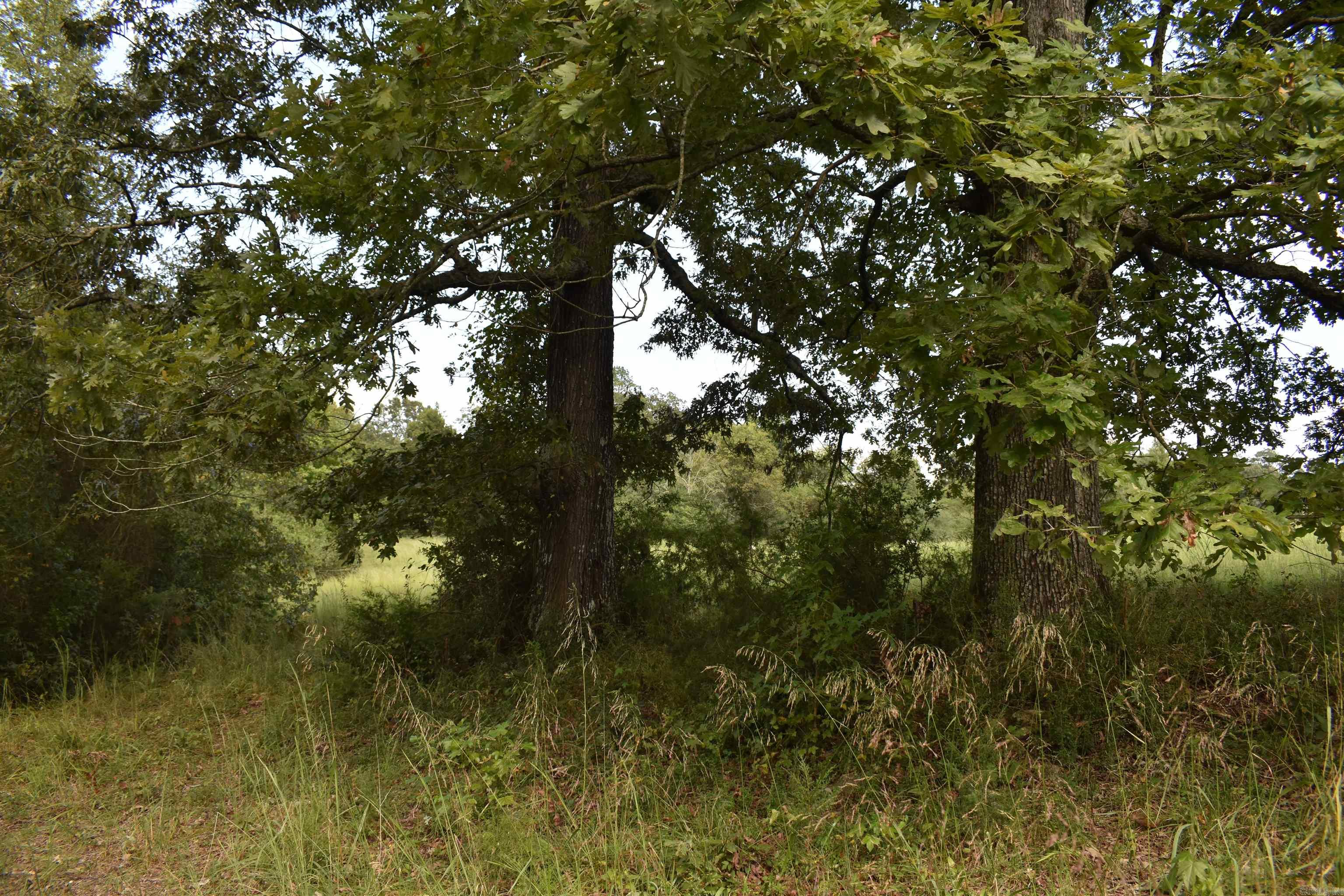 152 Kare Lane Grannis, AR 71944