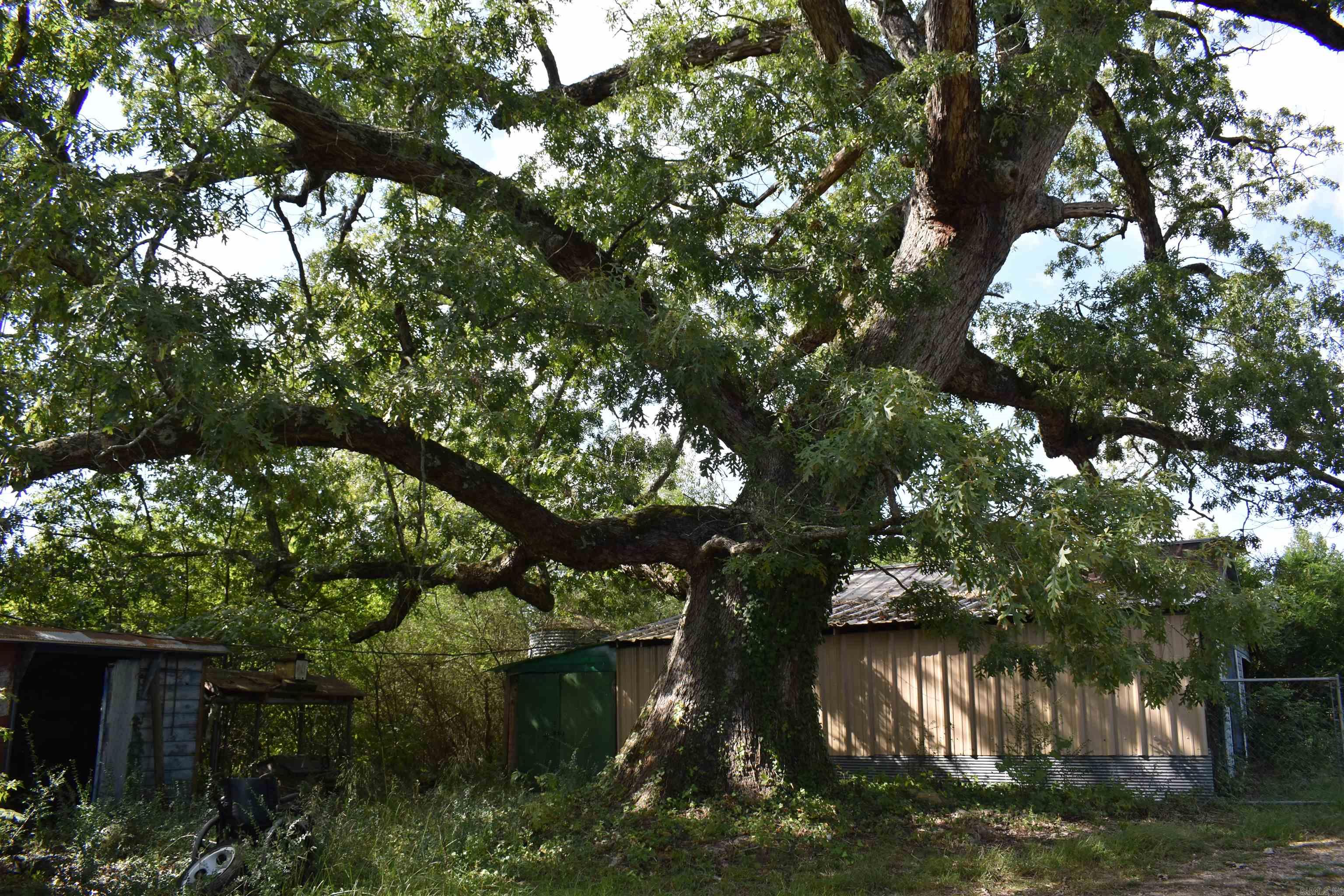 152 Kare Lane Grannis, AR 71944