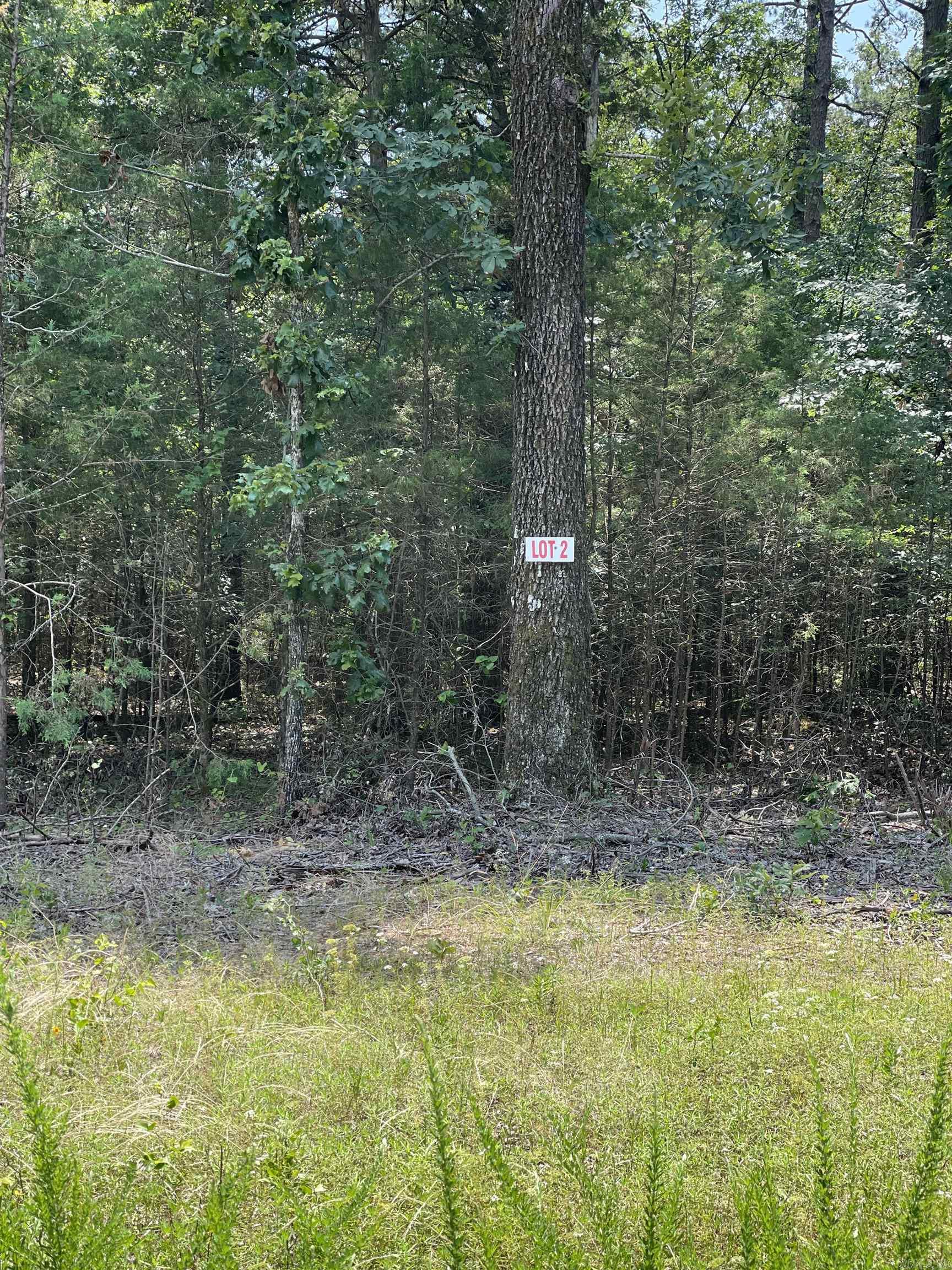 LOT 2 Pleasant Ridge Road Greers Ferry, AR 72067