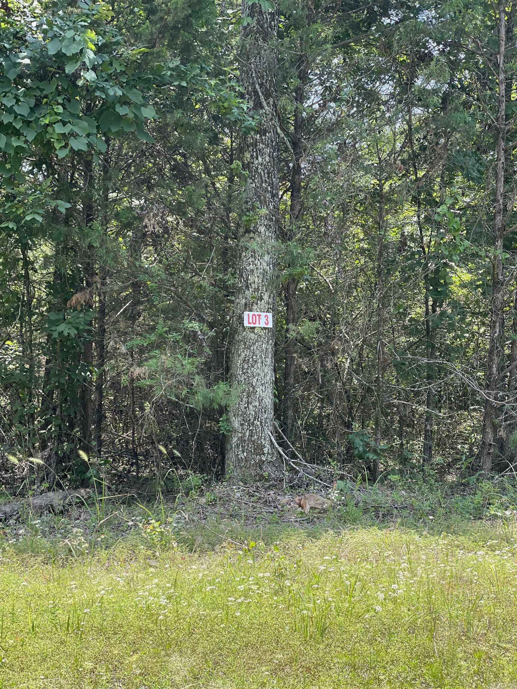 Lot 3 Pleasant Ridge Road Greers Ferry, AR 72067