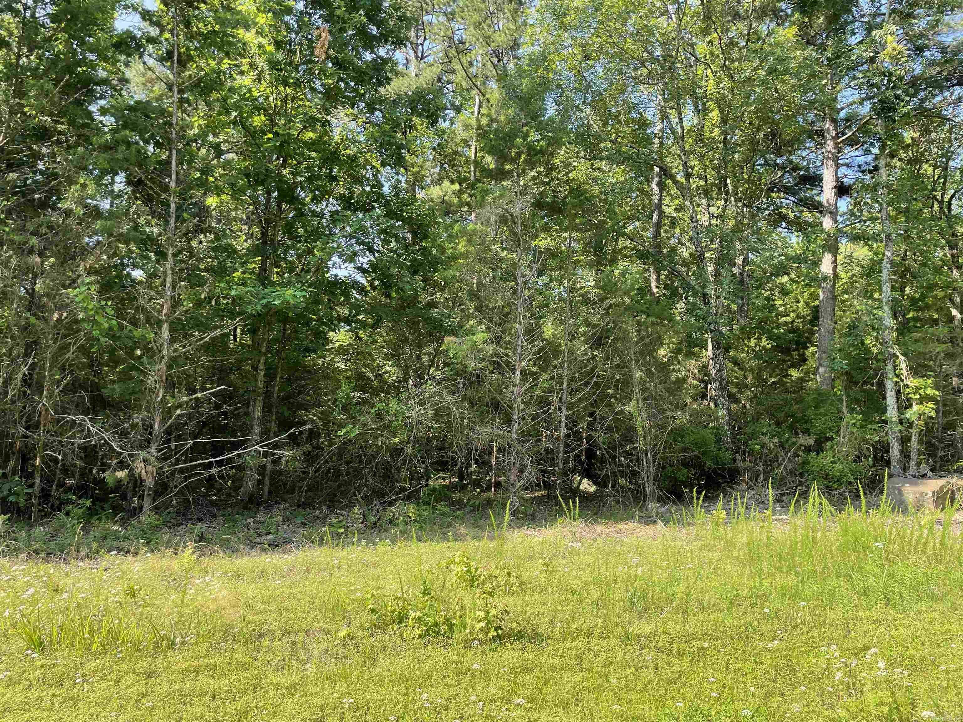 Lot 3 Pleasant Ridge Road Greers Ferry, AR 72067