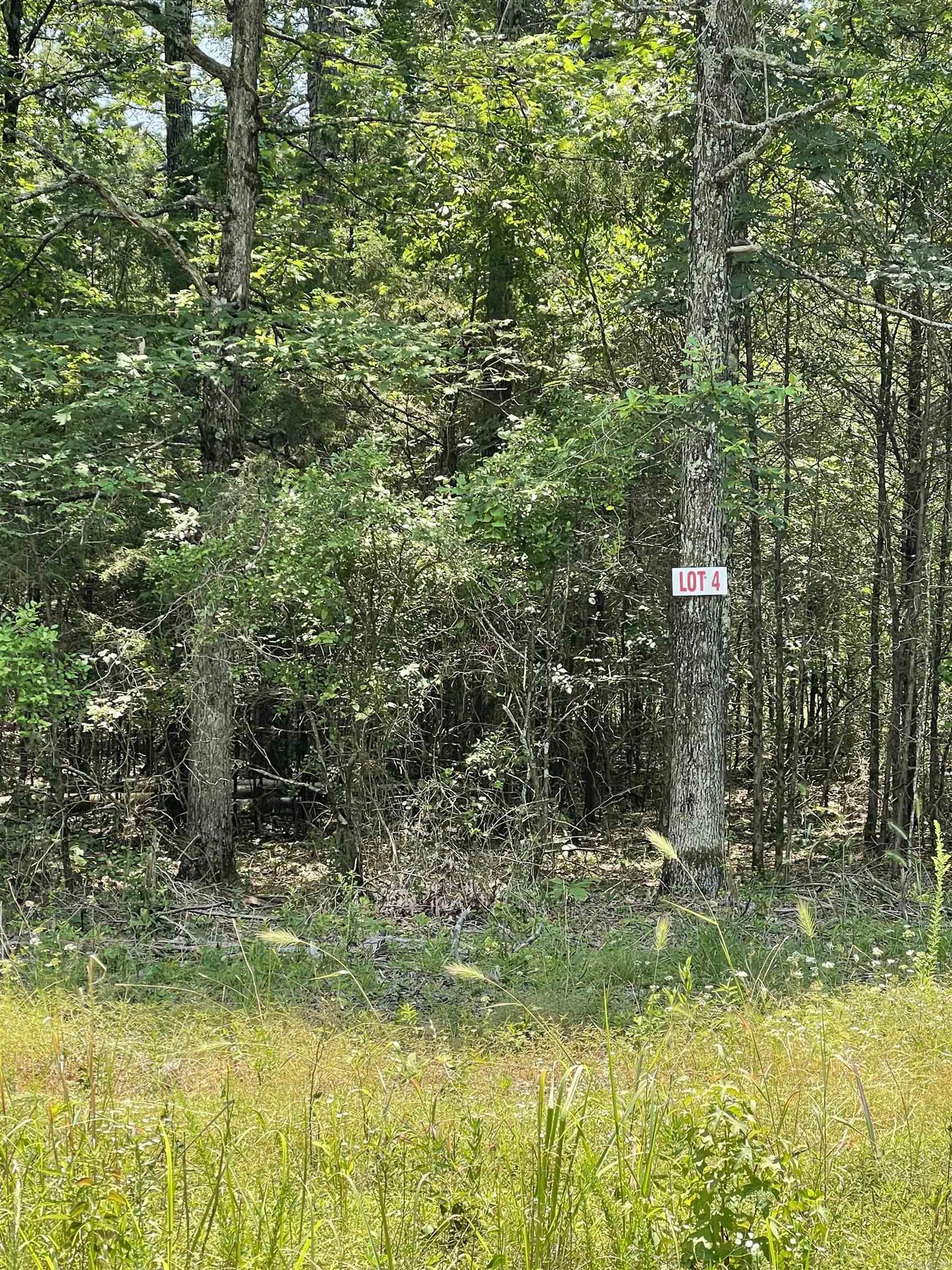 Lot 4 Pleasant Ridge Road Greers Ferry, AR 72067