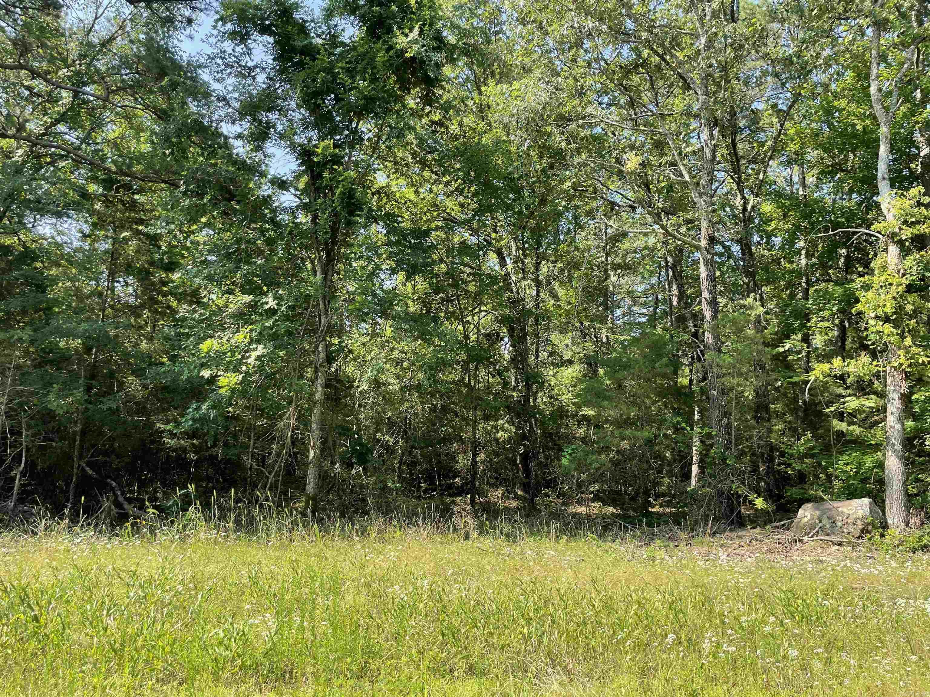 Lot 4 Pleasant Ridge Road Greers Ferry, AR 72067