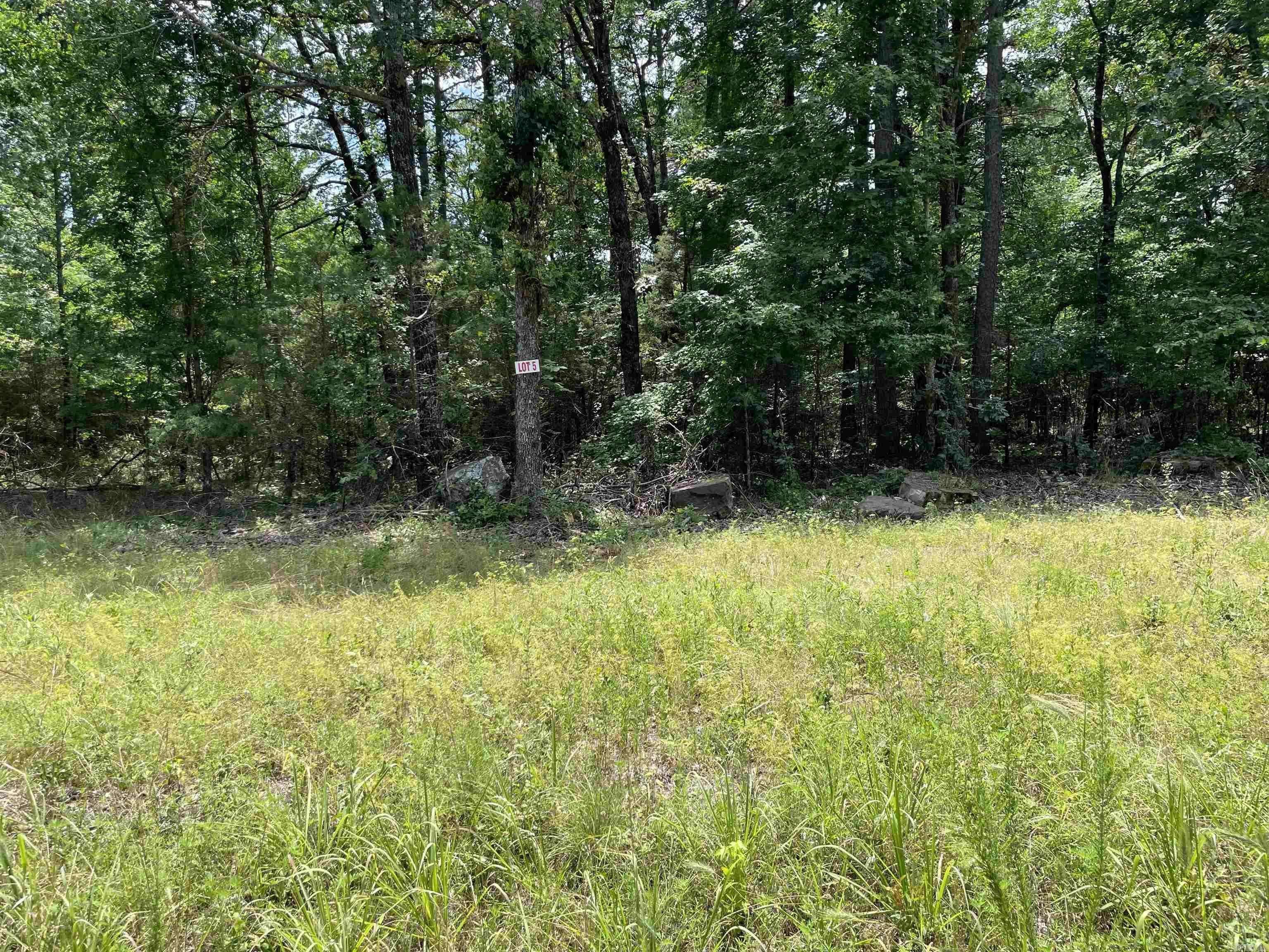 Lot 5 Pleasant Ridge Road Greers Ferry, AR 72067