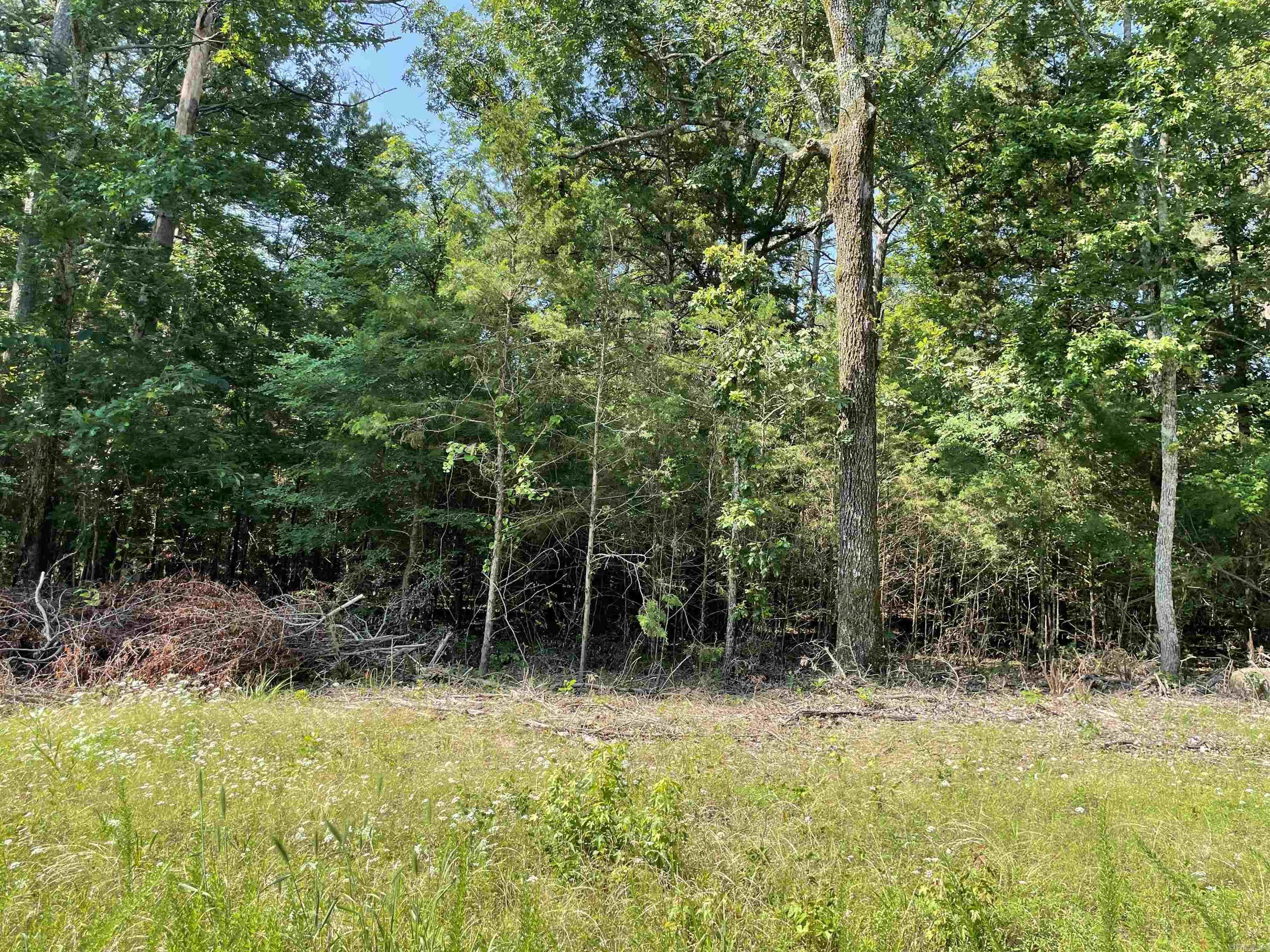 Lot 5 Pleasant Ridge Road Greers Ferry, AR 72067