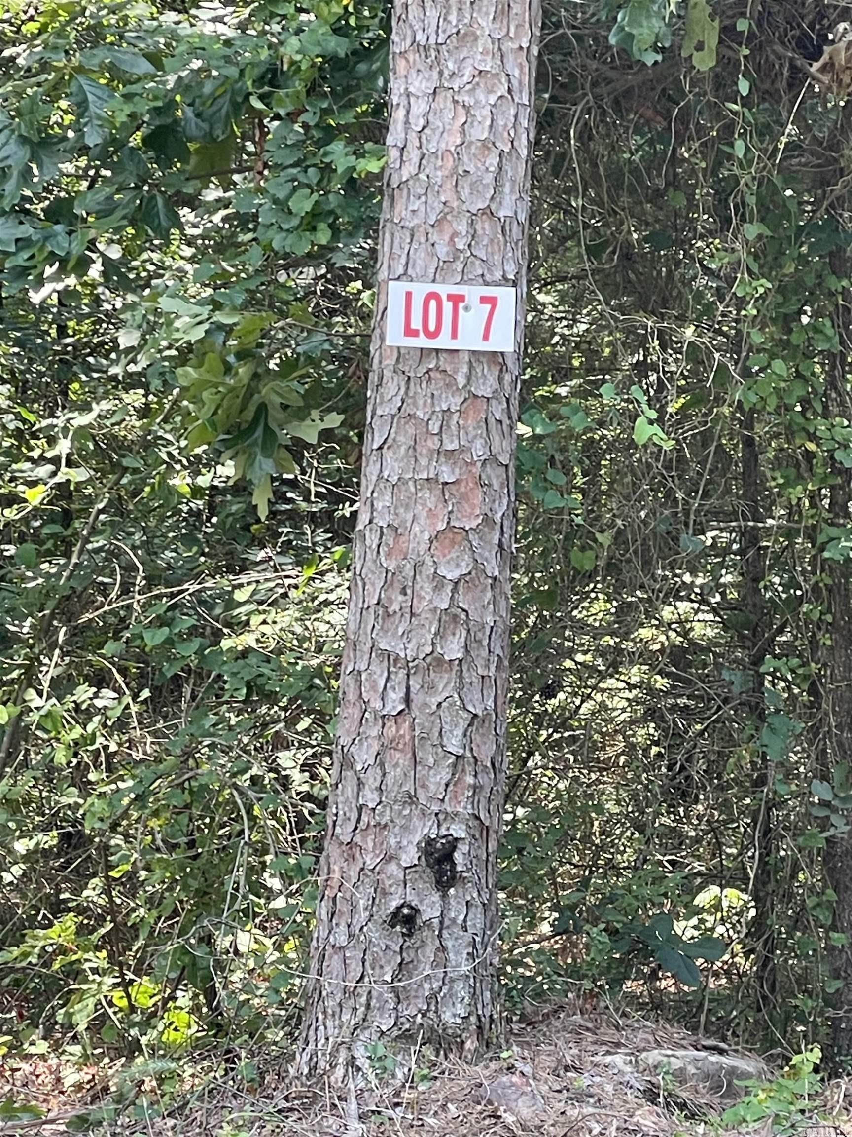 Lot 7 Pleasant Ridge Road Greers Ferry, AR 72067