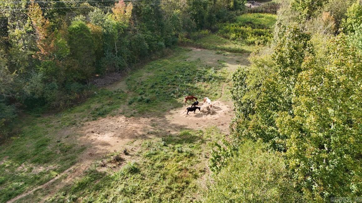 184 Peaceful Place Rd Caddo Gap, AR 71935