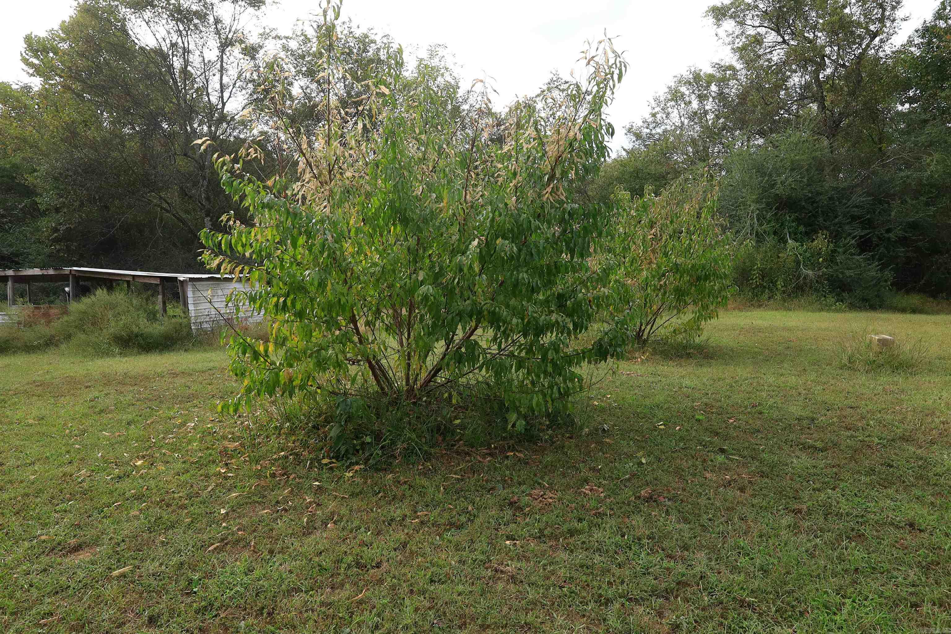 184 Peaceful Place Rd Caddo Gap, AR 71935