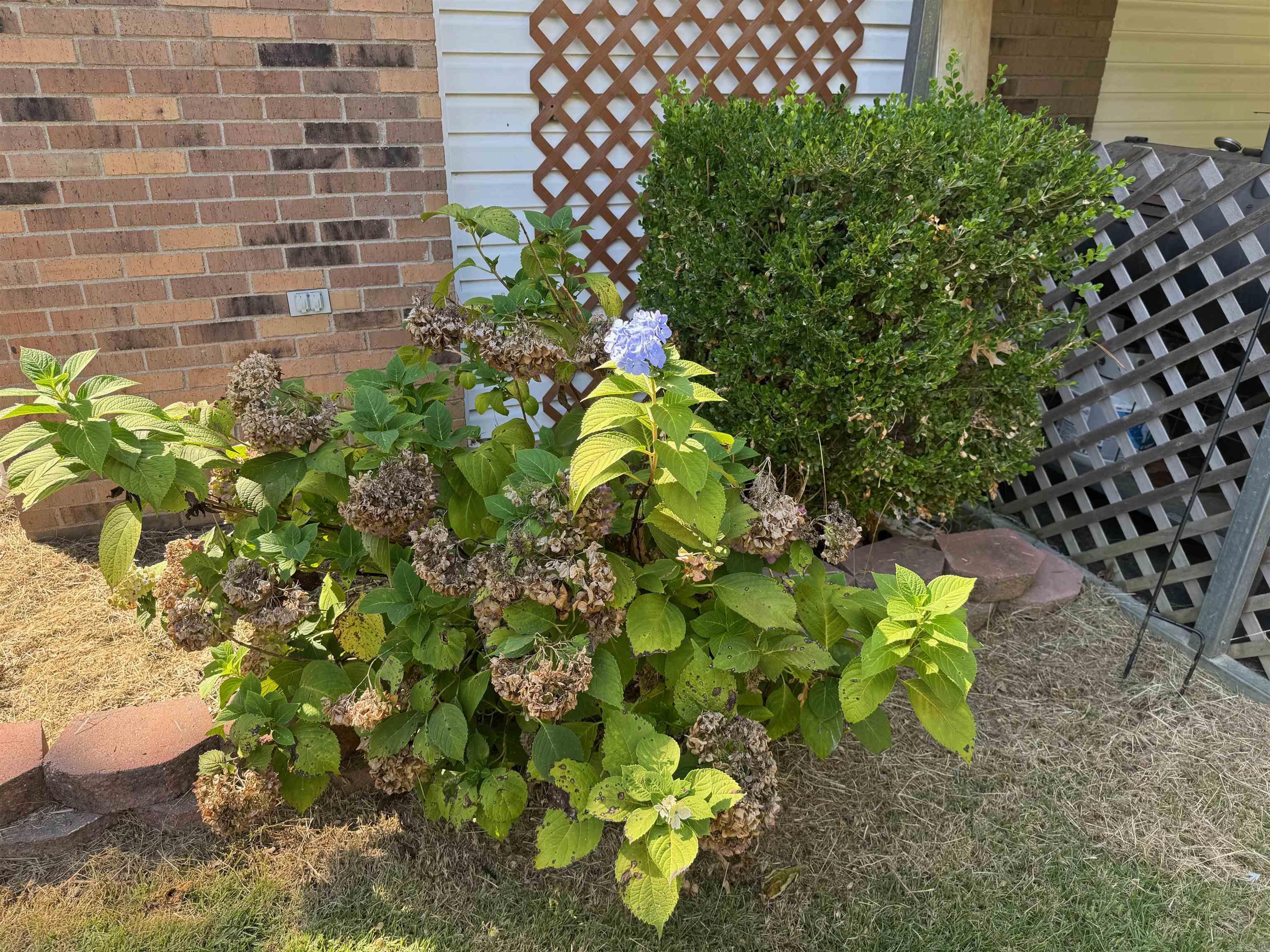 6253 Hwy 351 Highway Jonesboro, AR 72401