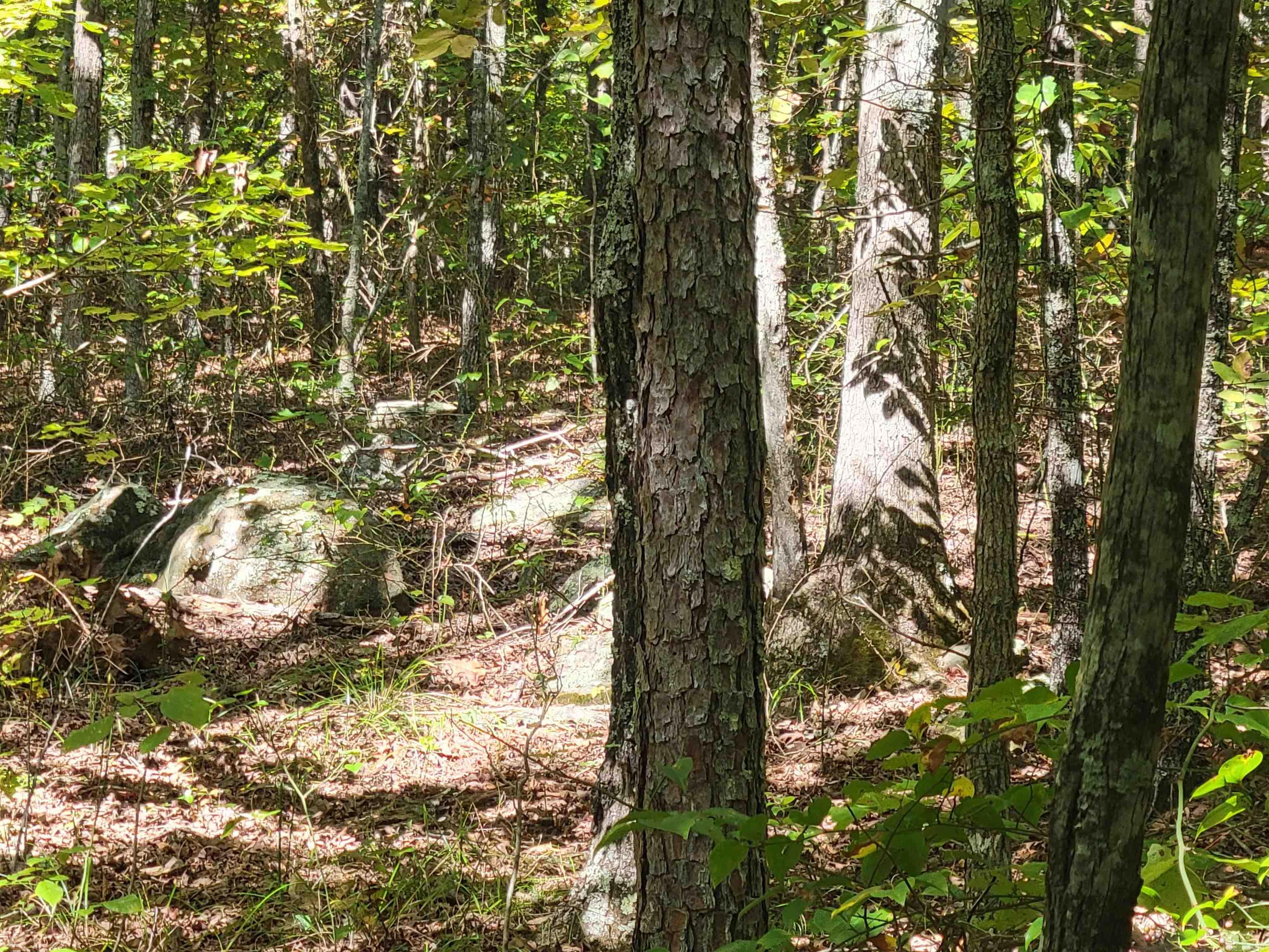 201 Peyton Mtn.  Dennard, AR