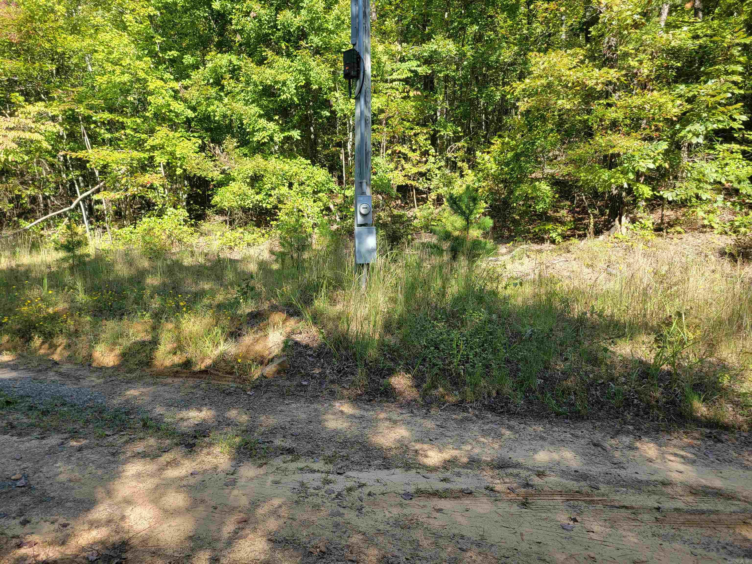 201 Peyton Mtn.  Dennard, AR