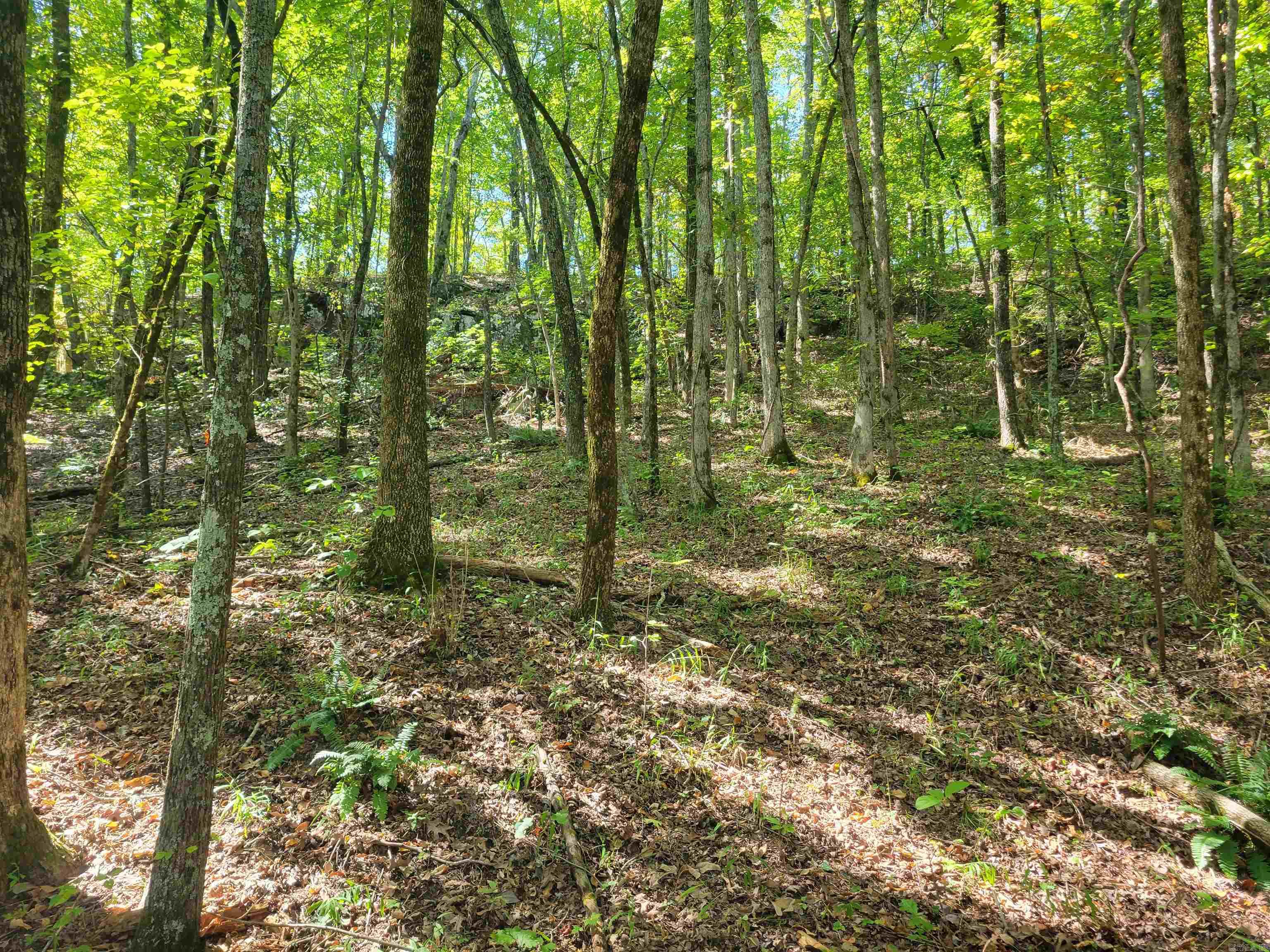 201 Peyton Mtn.  Dennard, AR