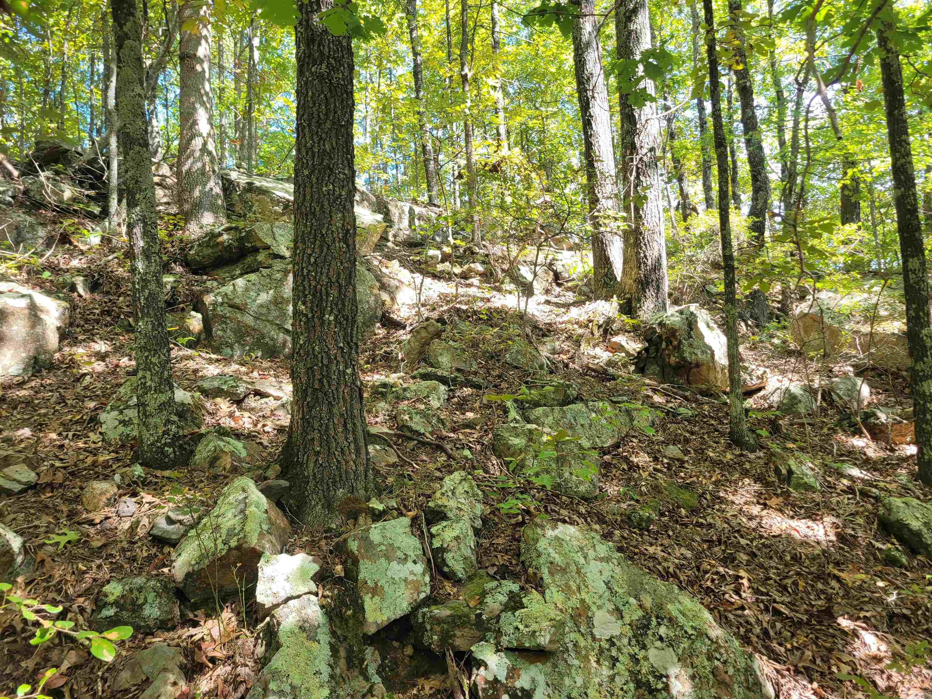 201 Peyton Mtn.  Dennard, AR