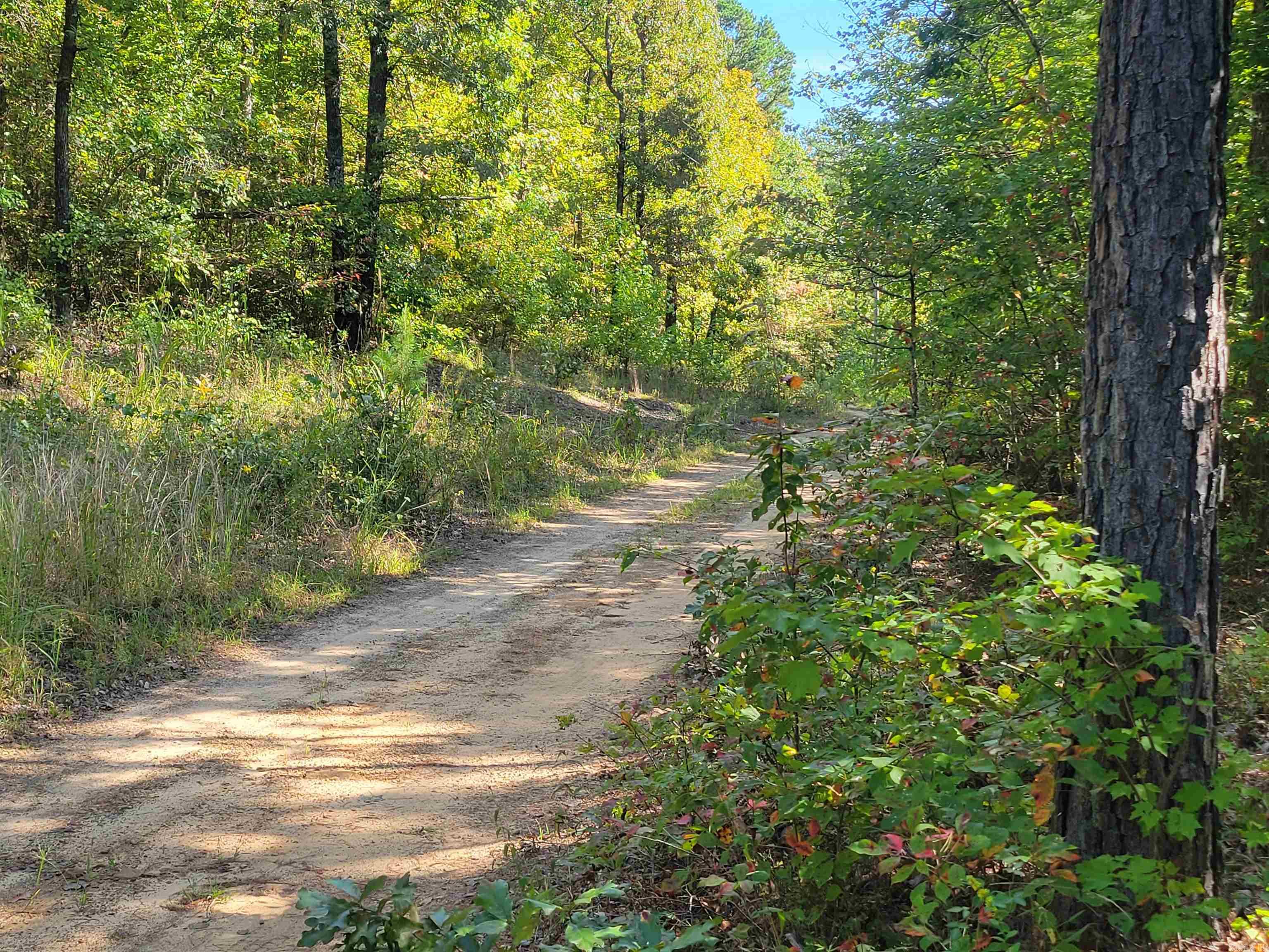 201 Peyton Mtn.  Dennard, AR