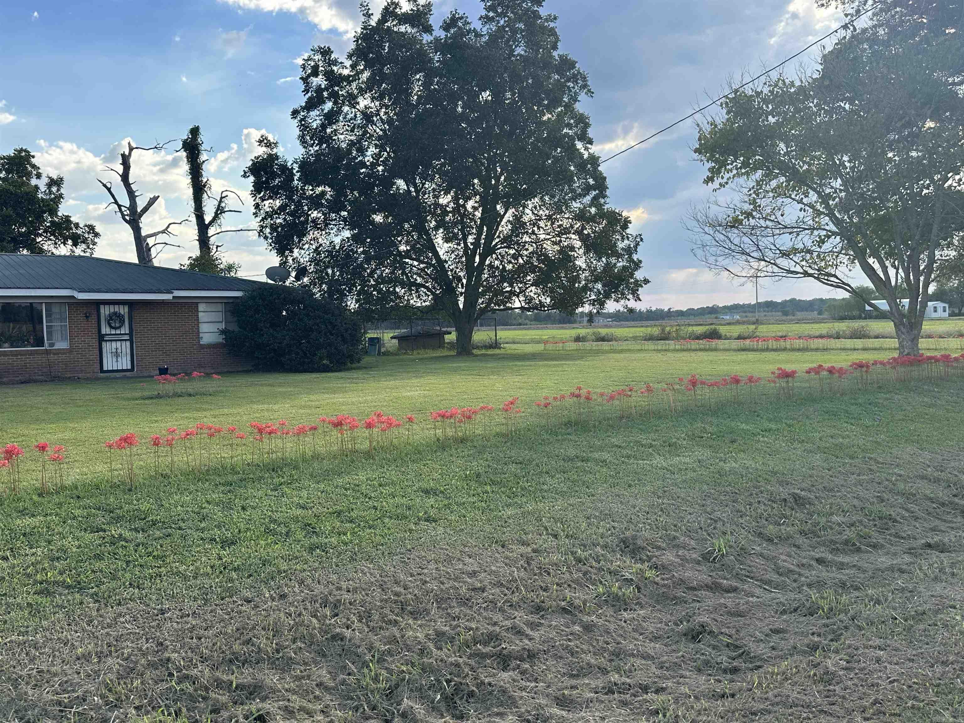 31610 E Hwy 54  Dumas, AR