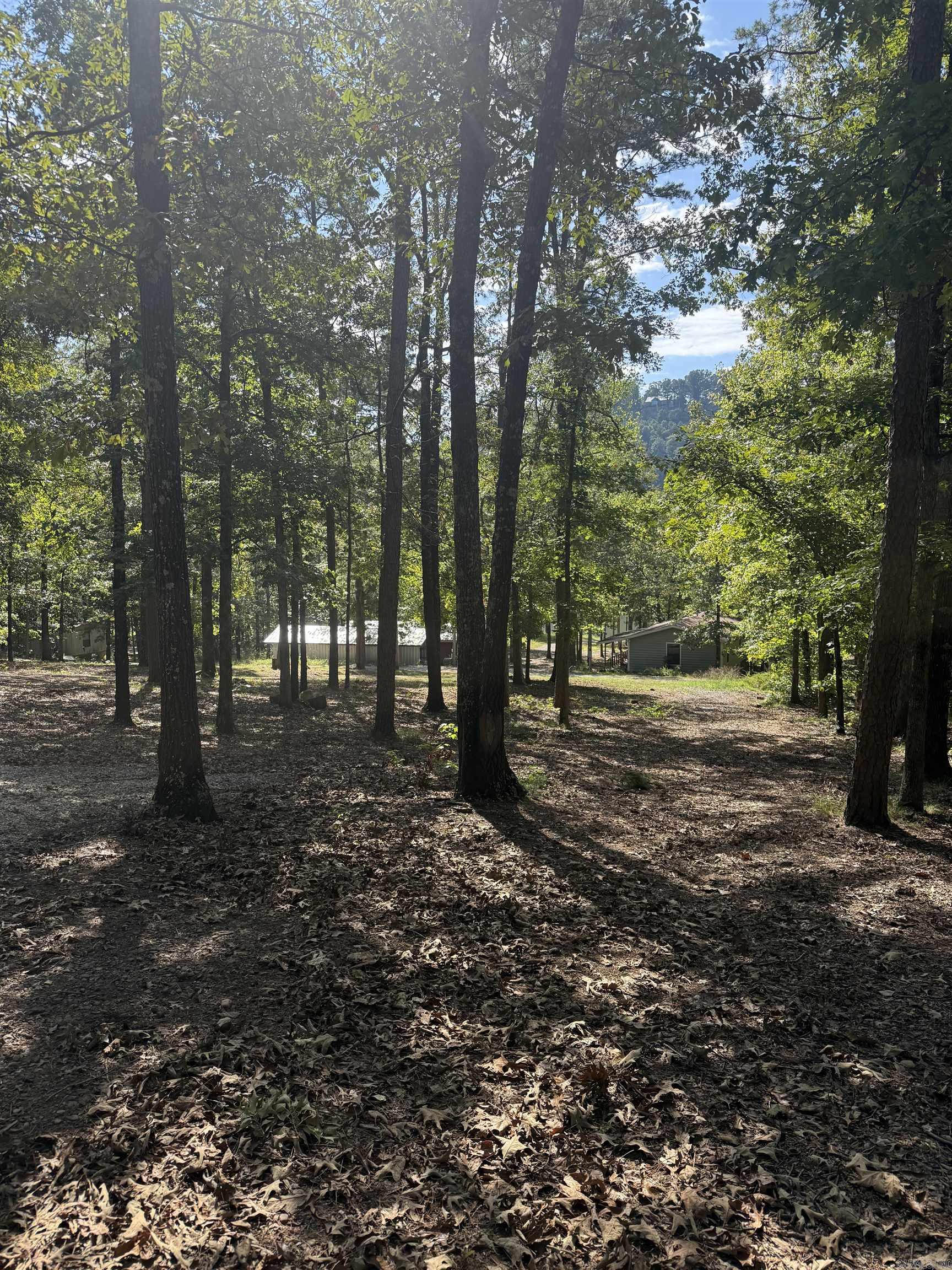 51 Iowa  Edgemont, AR