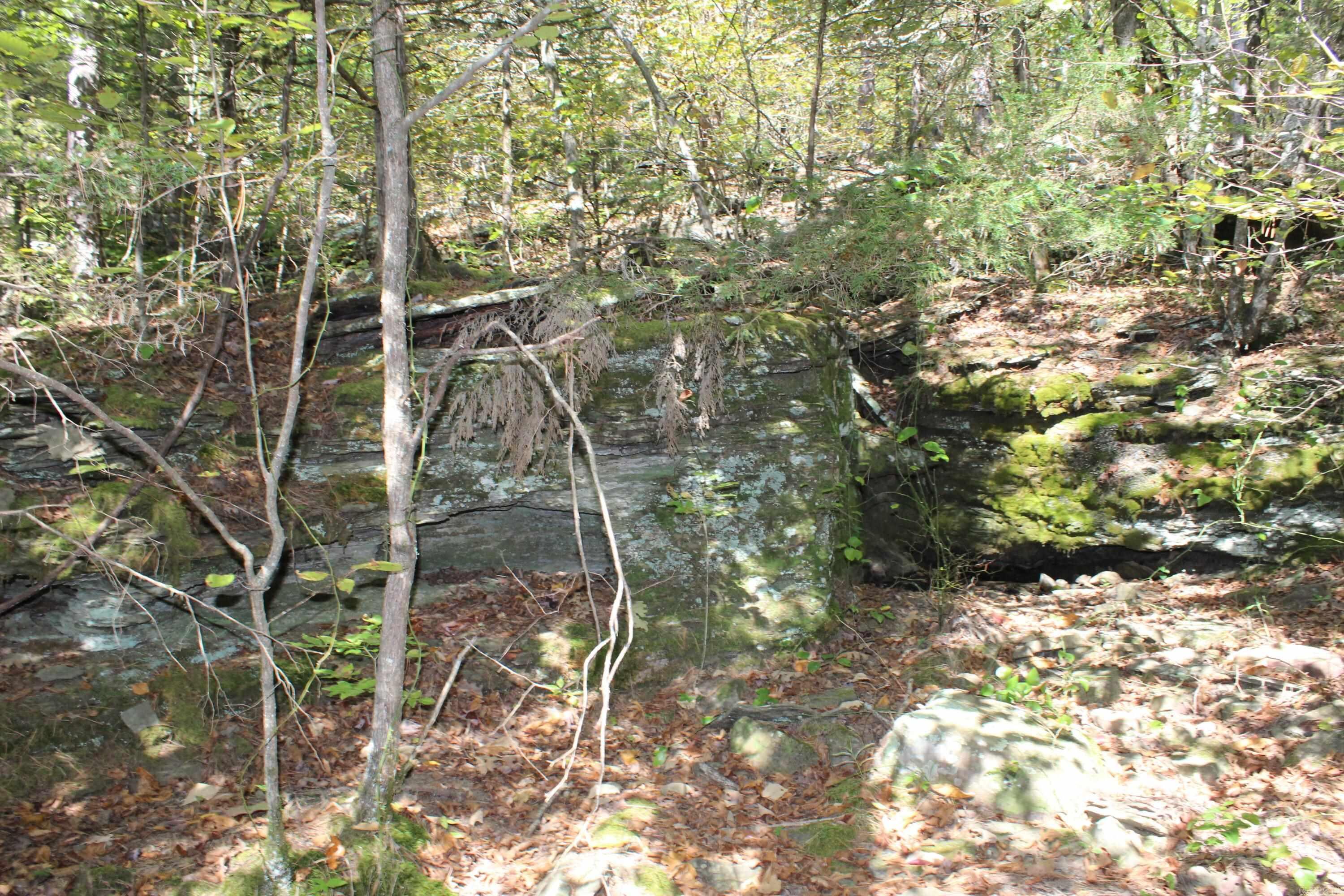 5354 Endline Road  Marshall, AR