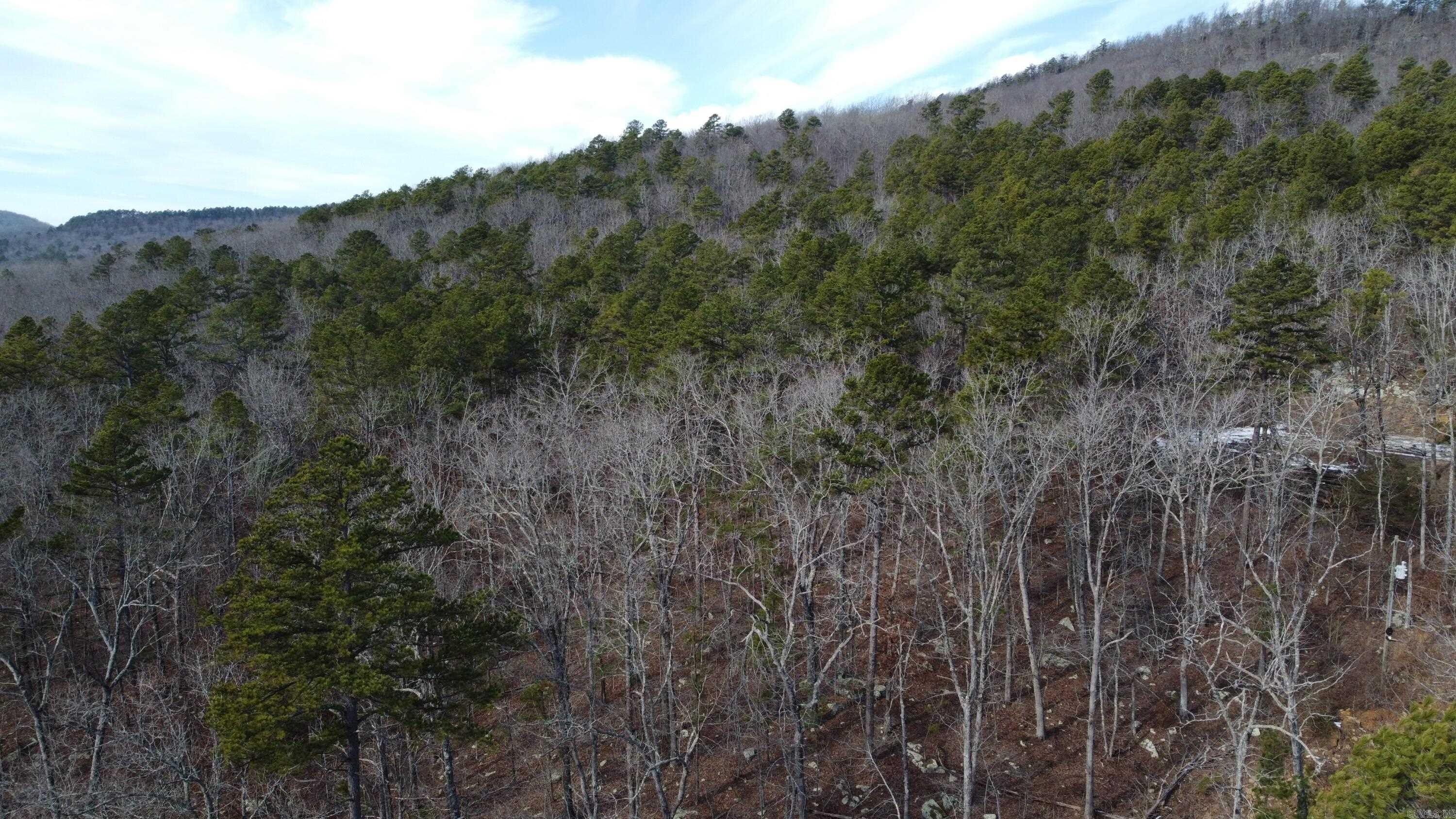 5354 Endline Road  Marshall, AR