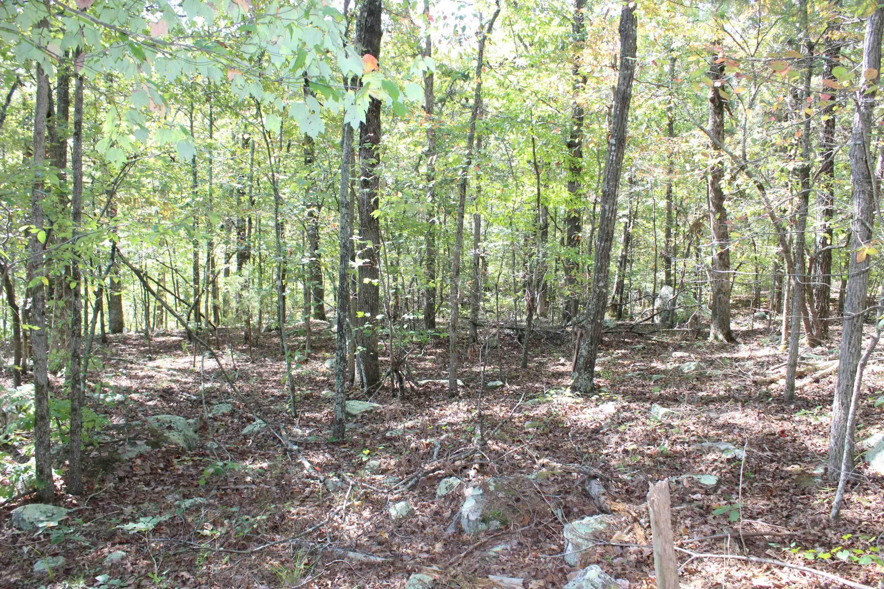 5354 Endline Road  Marshall, AR