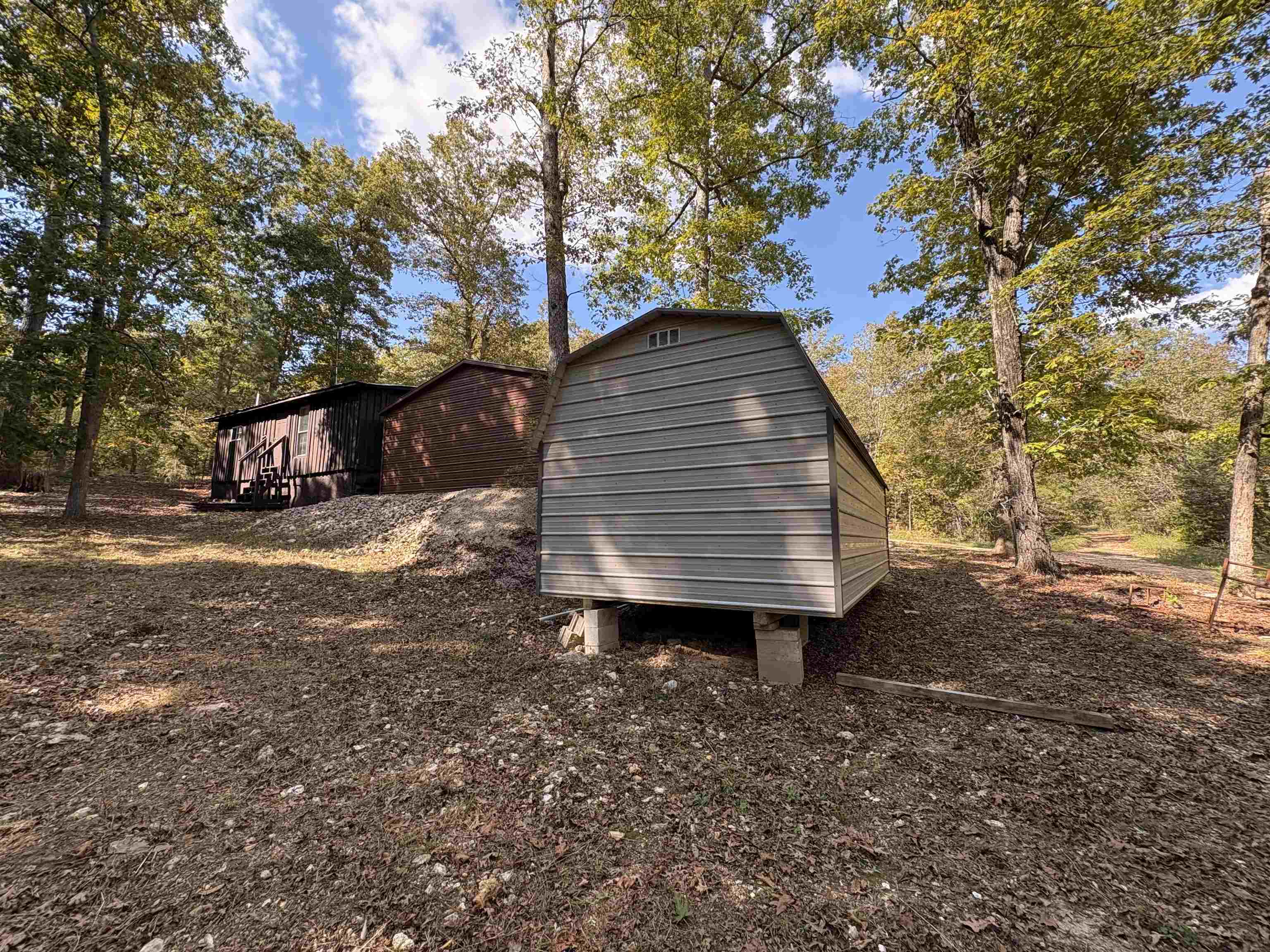 1 Deer  Williford, AR