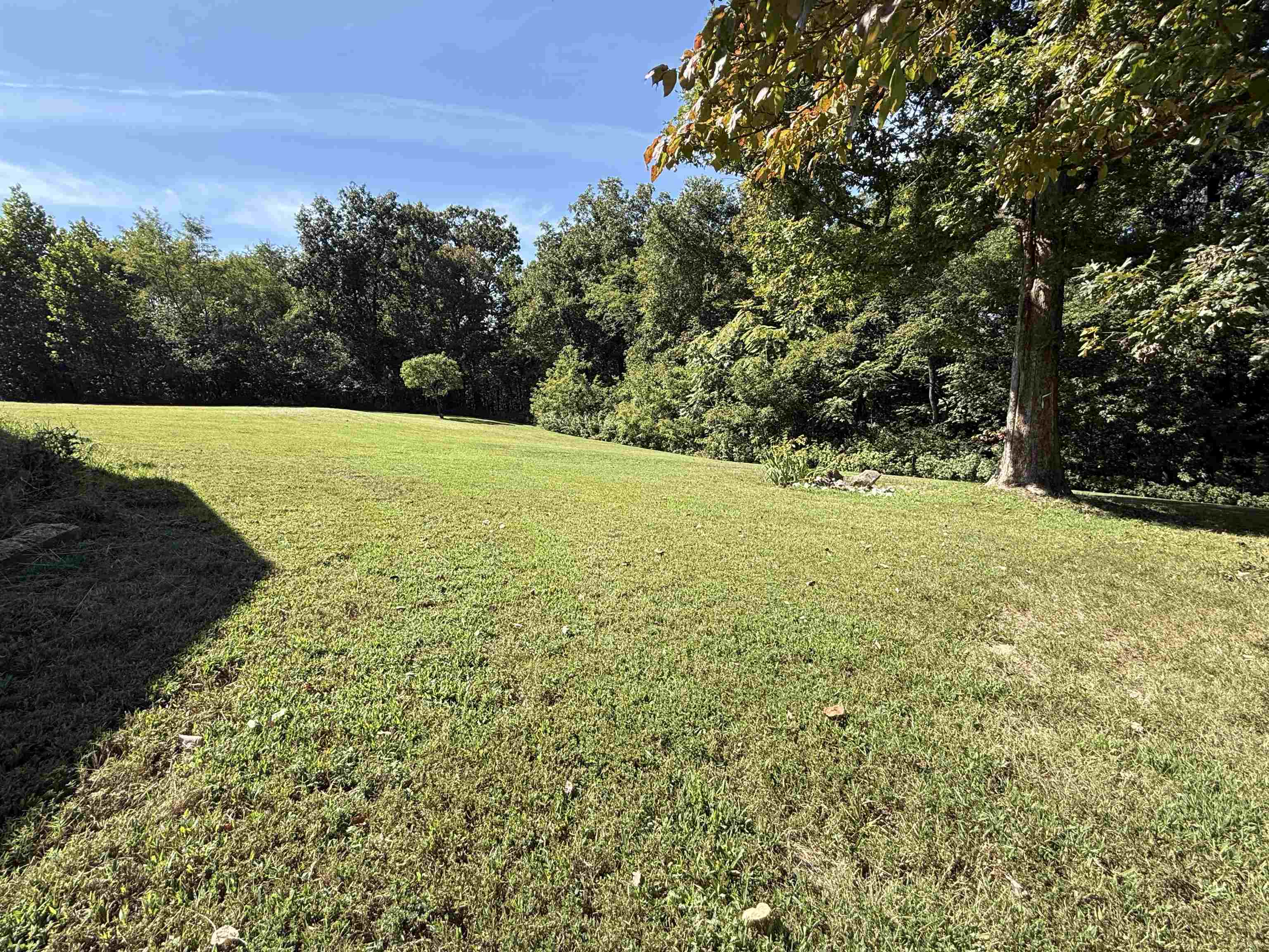 350 Love Hollow Mount Pleasant, AR 72561