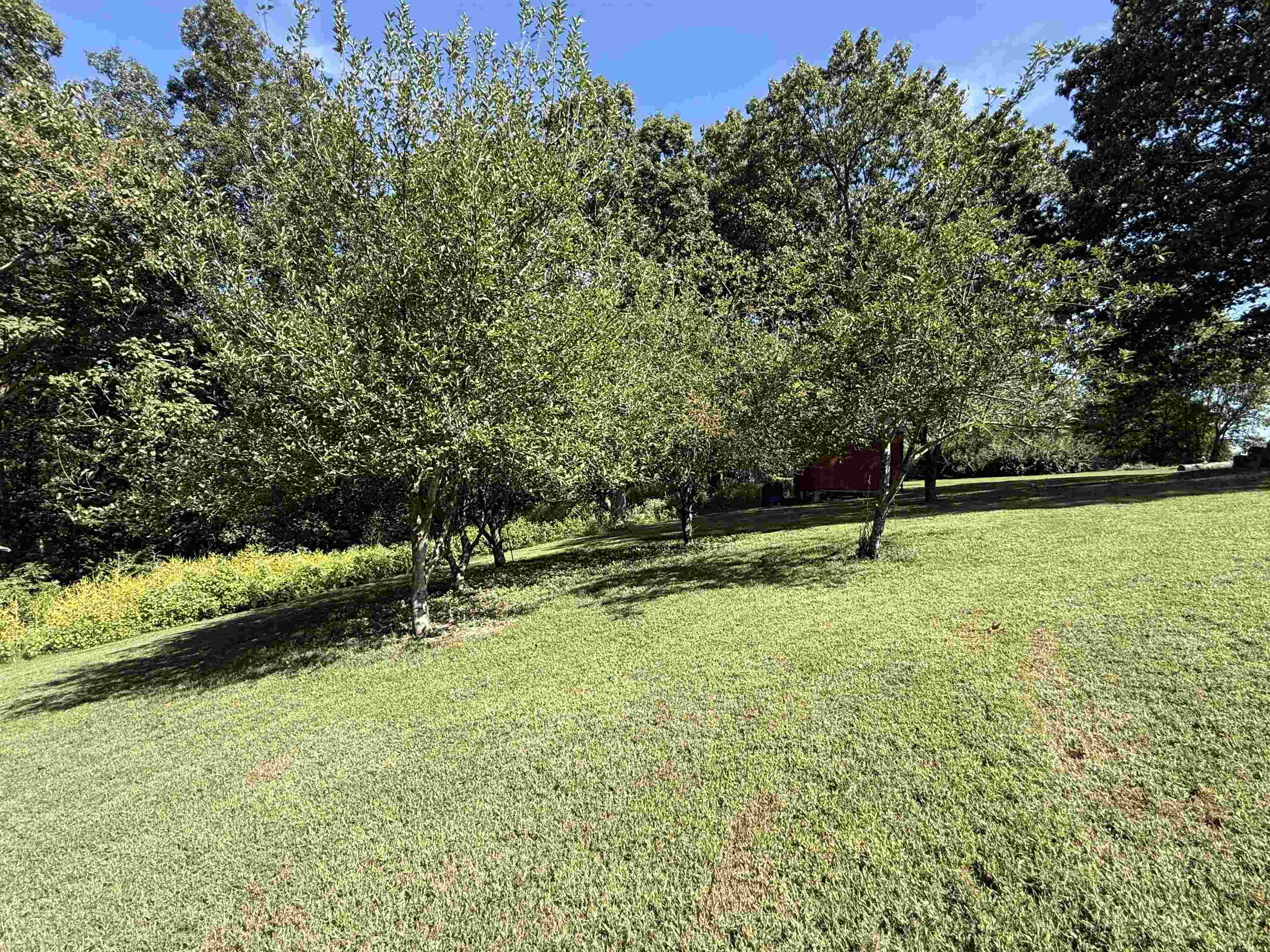 350 Love Hollow Mount Pleasant, AR 72561