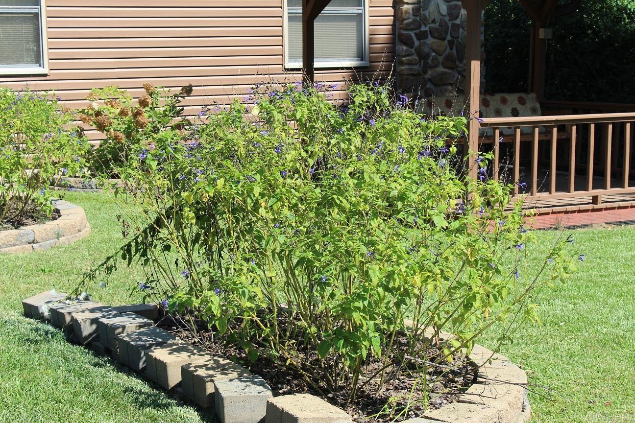 1303 Bert Street  Mena, AR