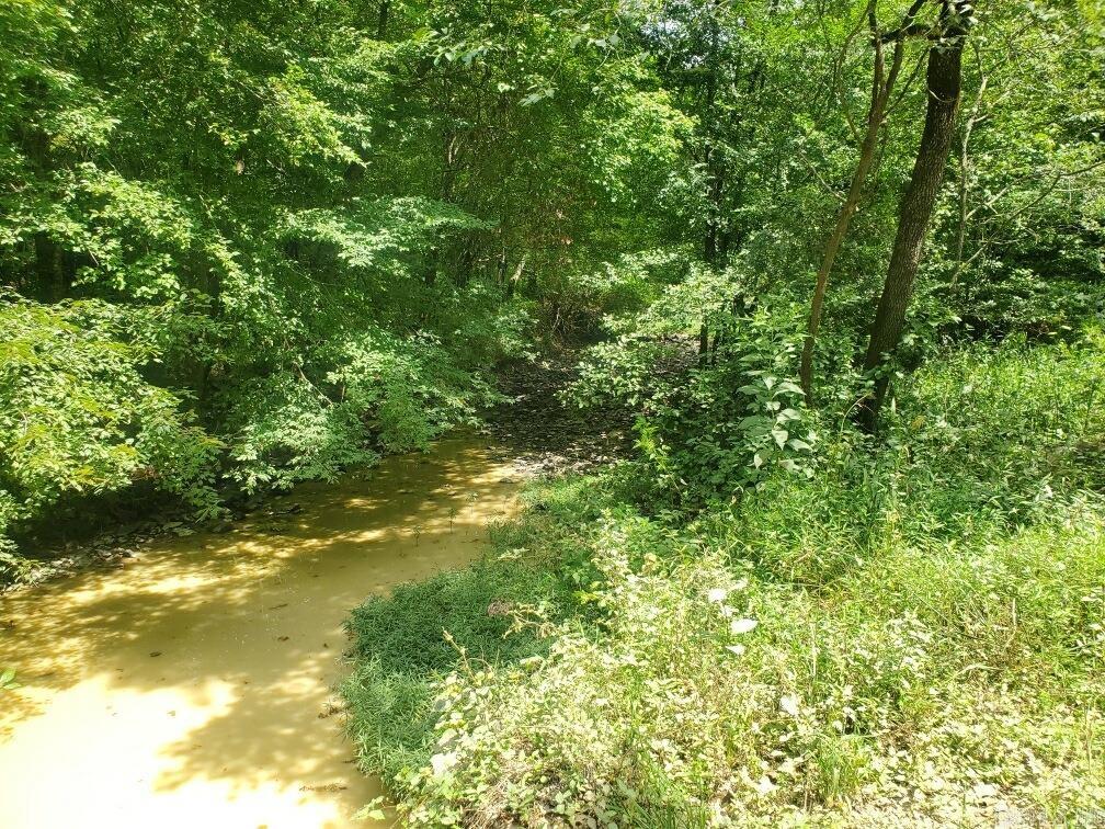 TBD Polk Road 31  Cove, AR