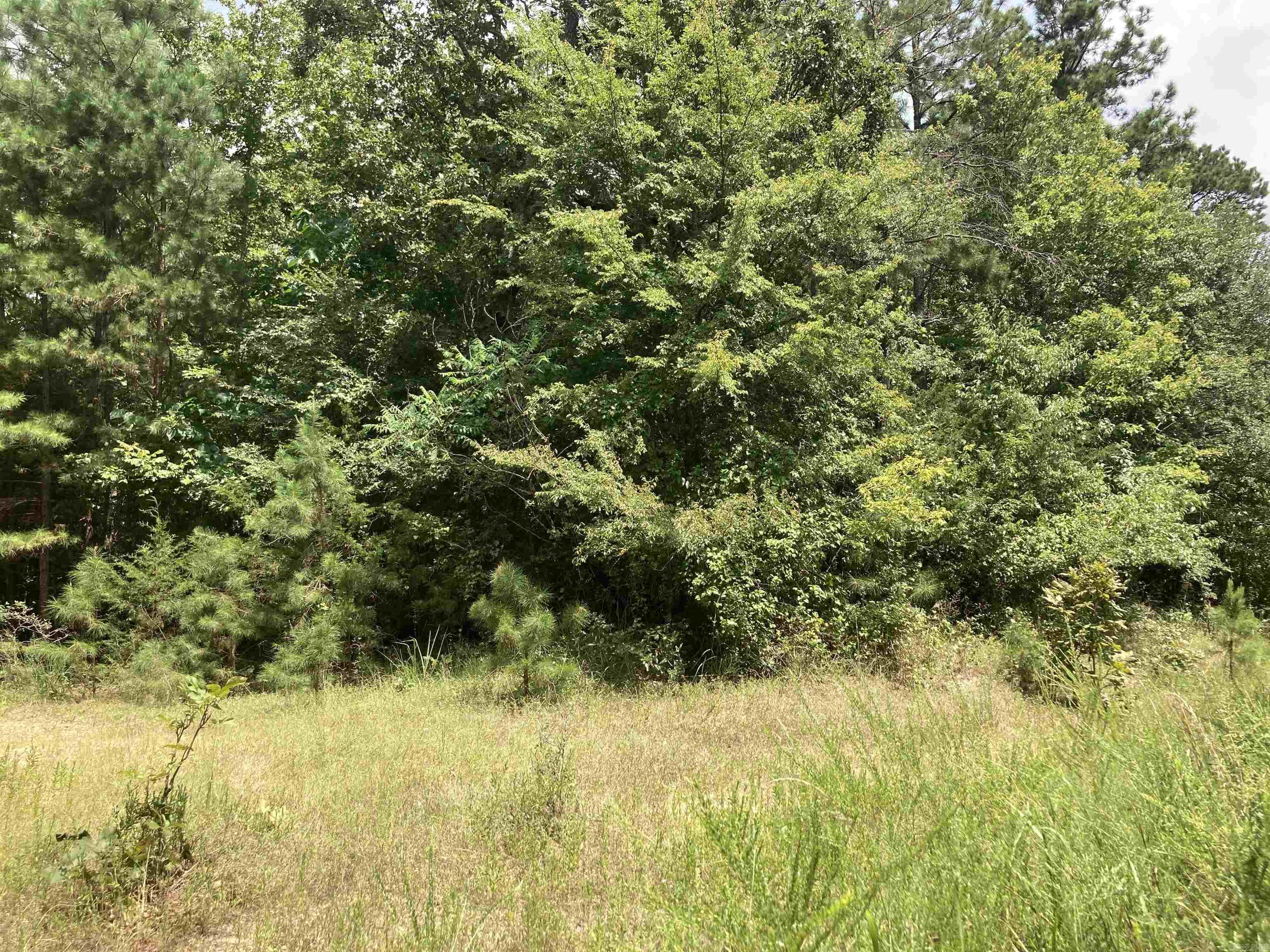 TBD Polk Road 31  Cove, AR