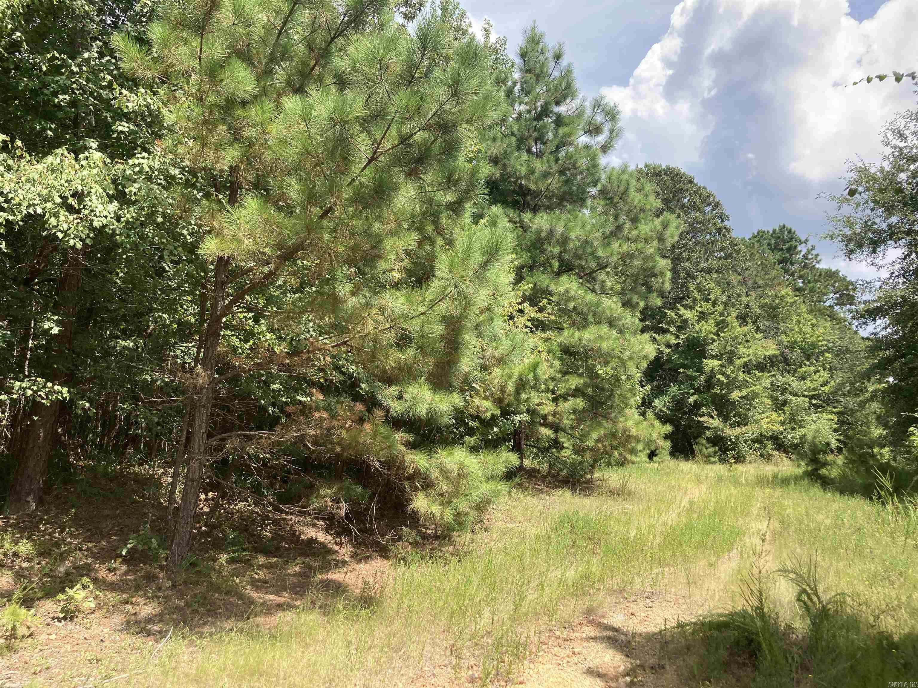 TBD Polk Road 31  Cove, AR