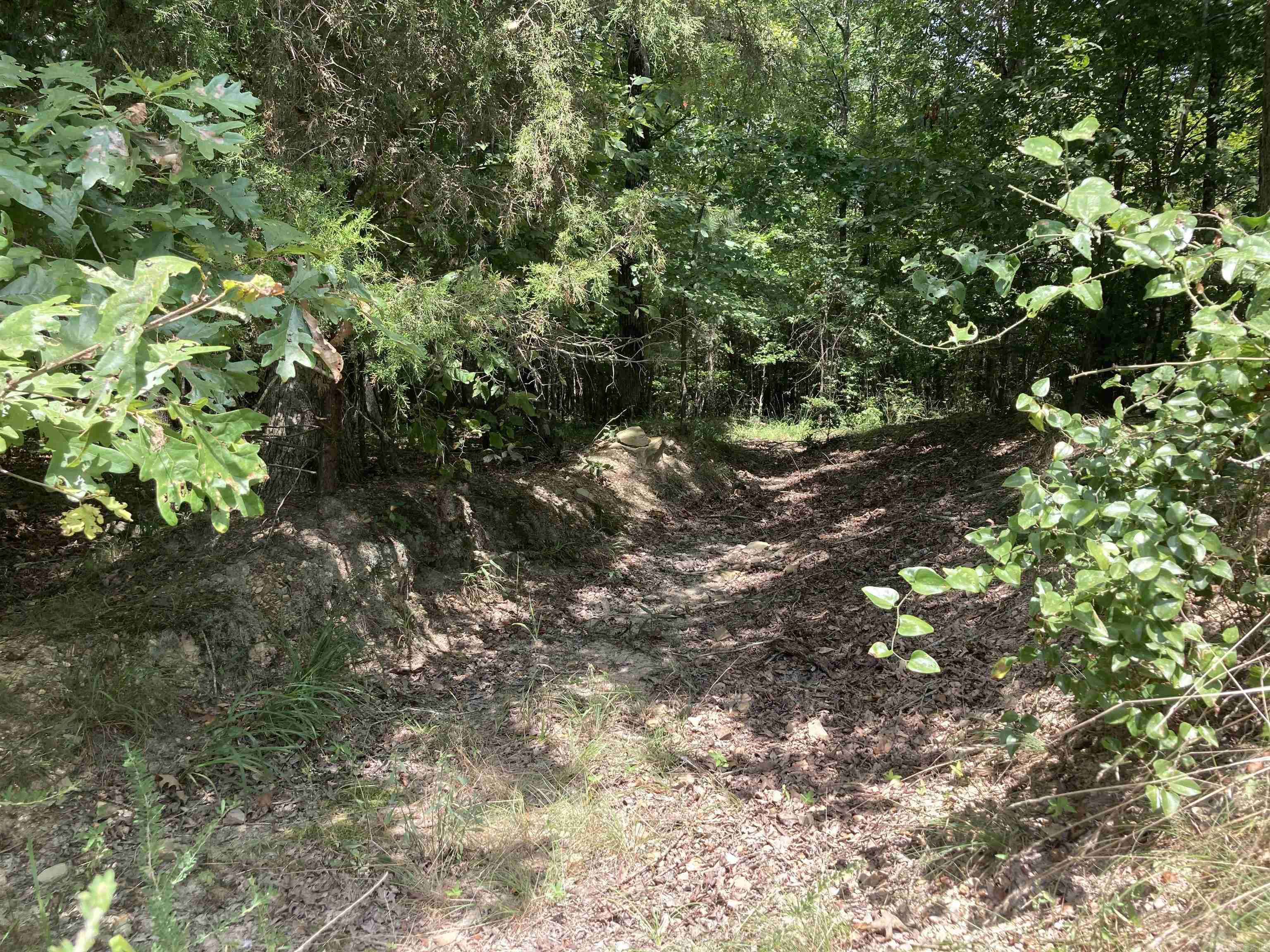 TBD Polk Road 31  Cove, AR