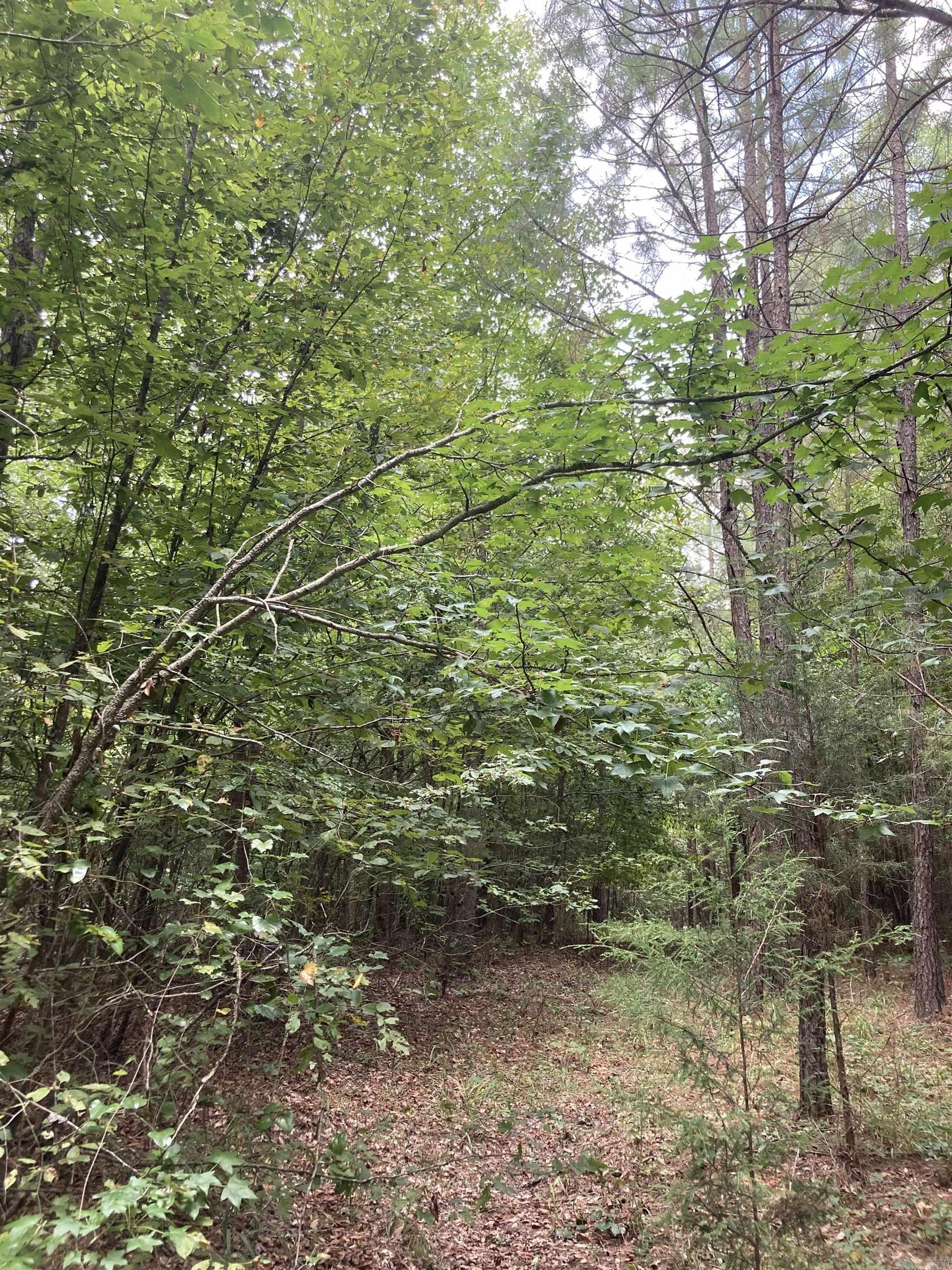 TBD Polk Road 31  Cove, AR