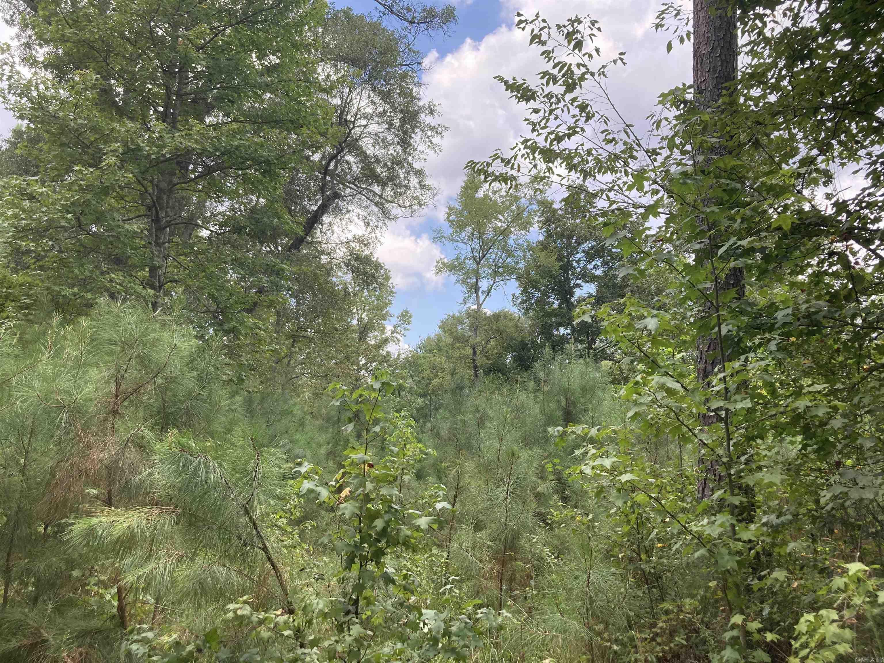 TBD Polk Road 31  Cove, AR