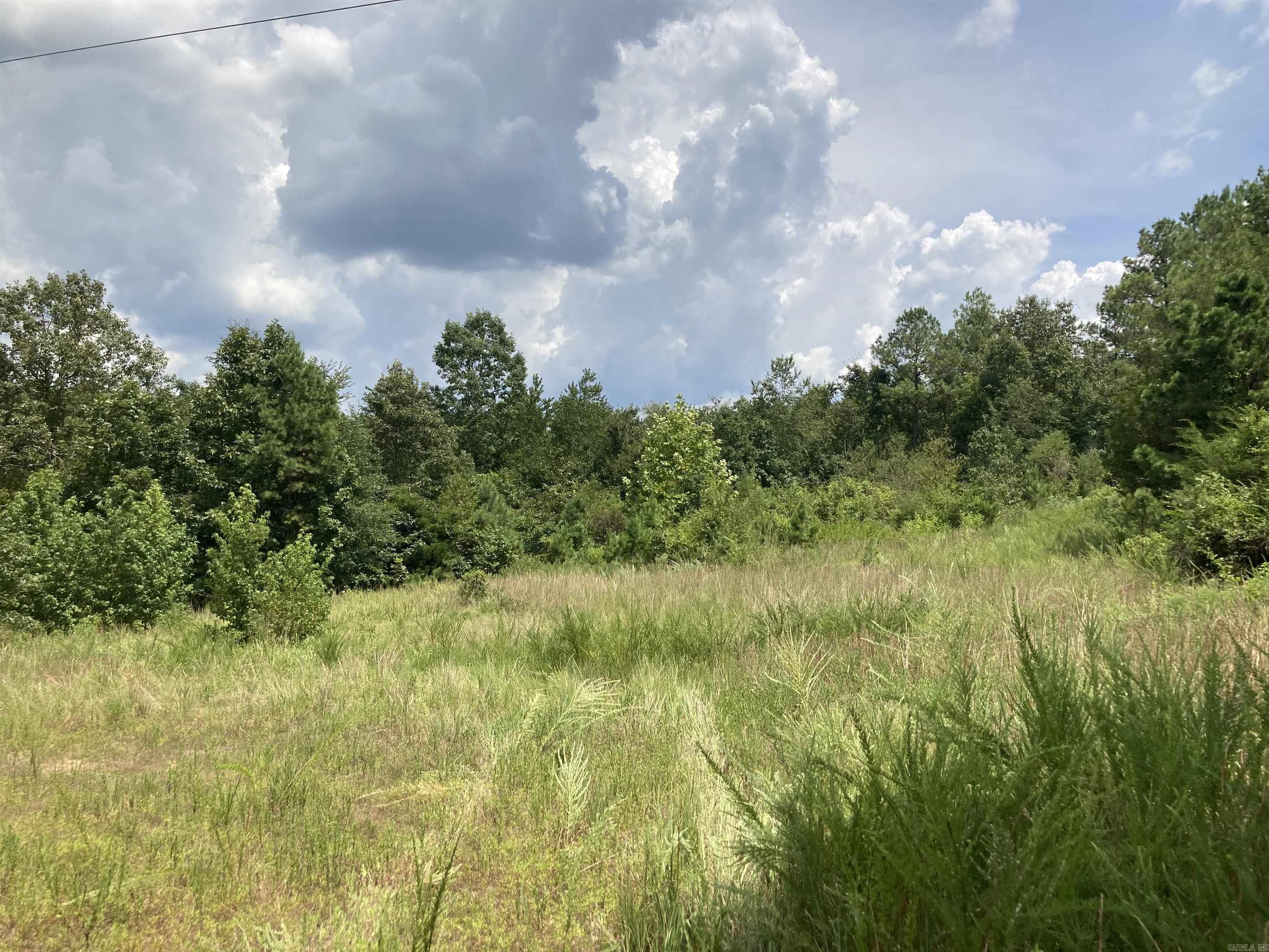 TBD Polk Road 31  Cove, AR