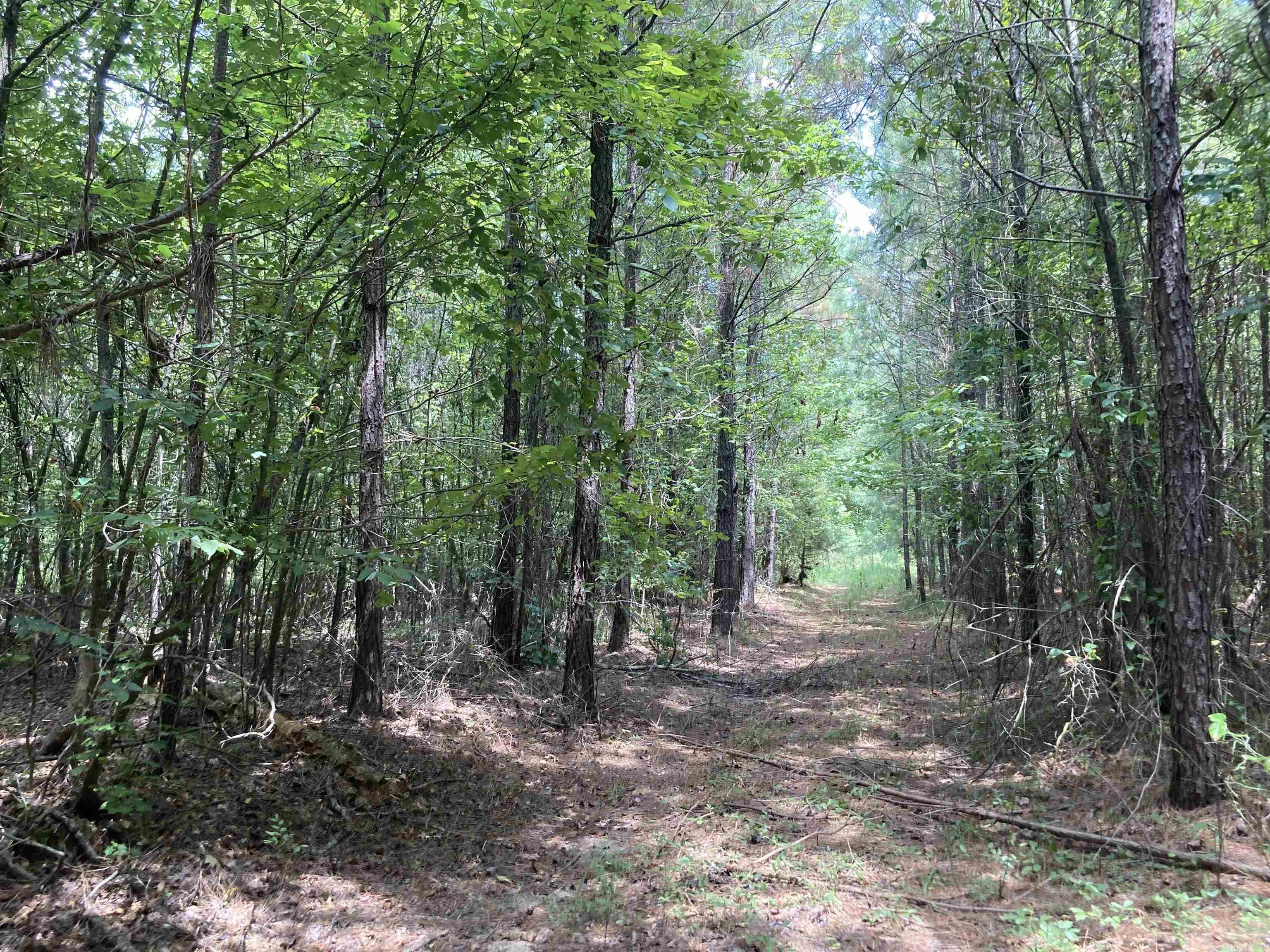 TBD Polk Road 31  Cove, AR