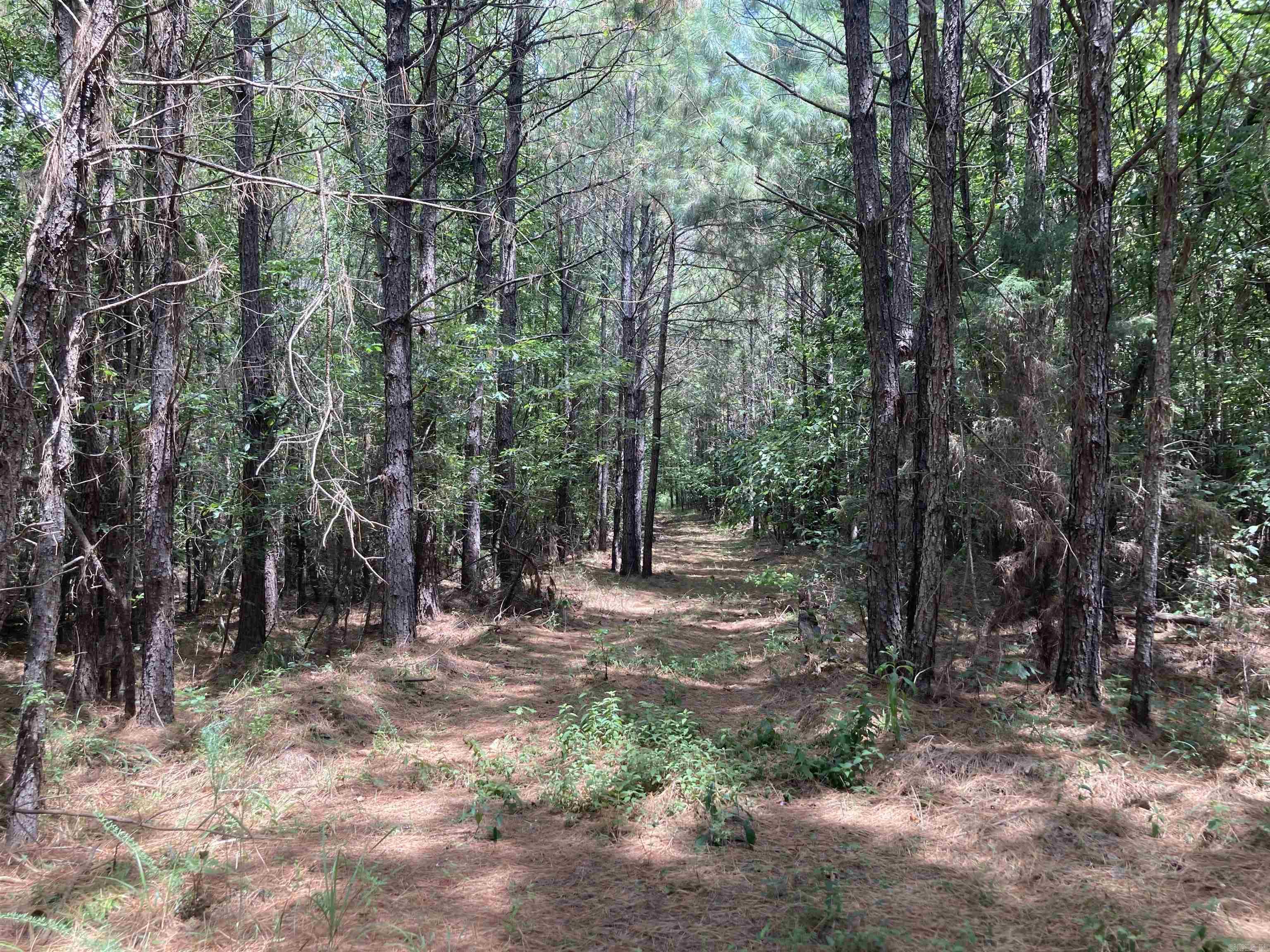 TBD Polk Road 31  Cove, AR