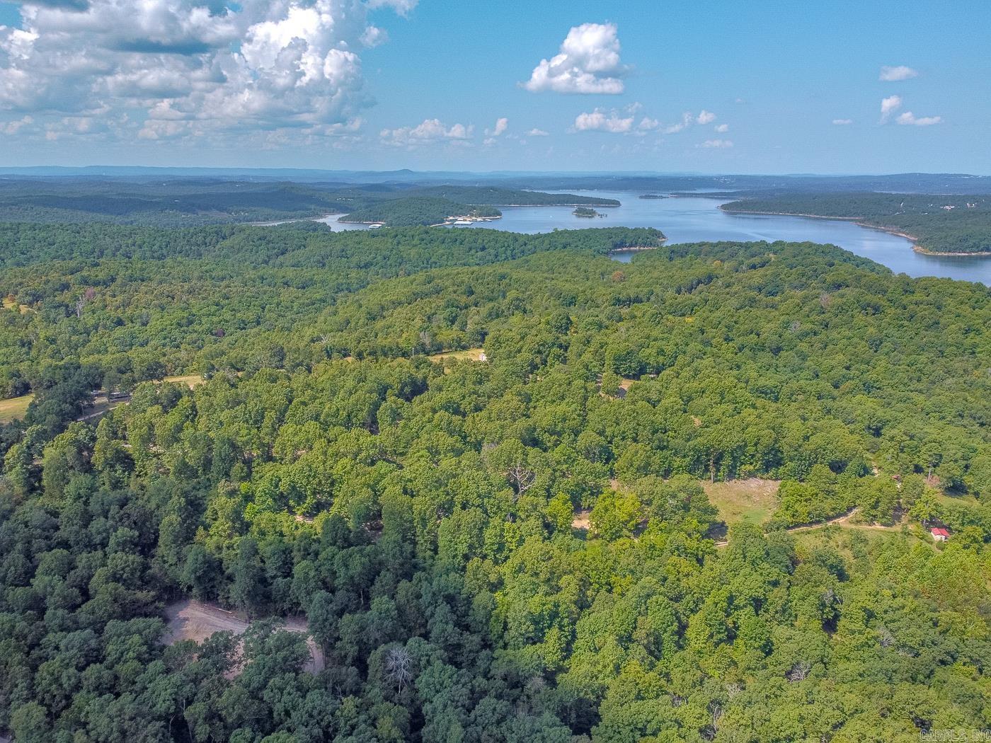 00001 Rodney Road  Calico Rock, AR