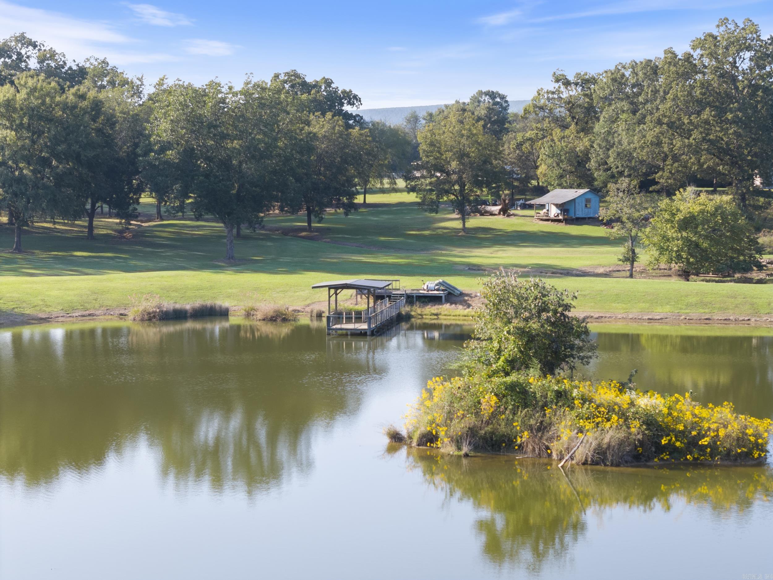 54 Terry Lynn Lane Perryville, AR 72126