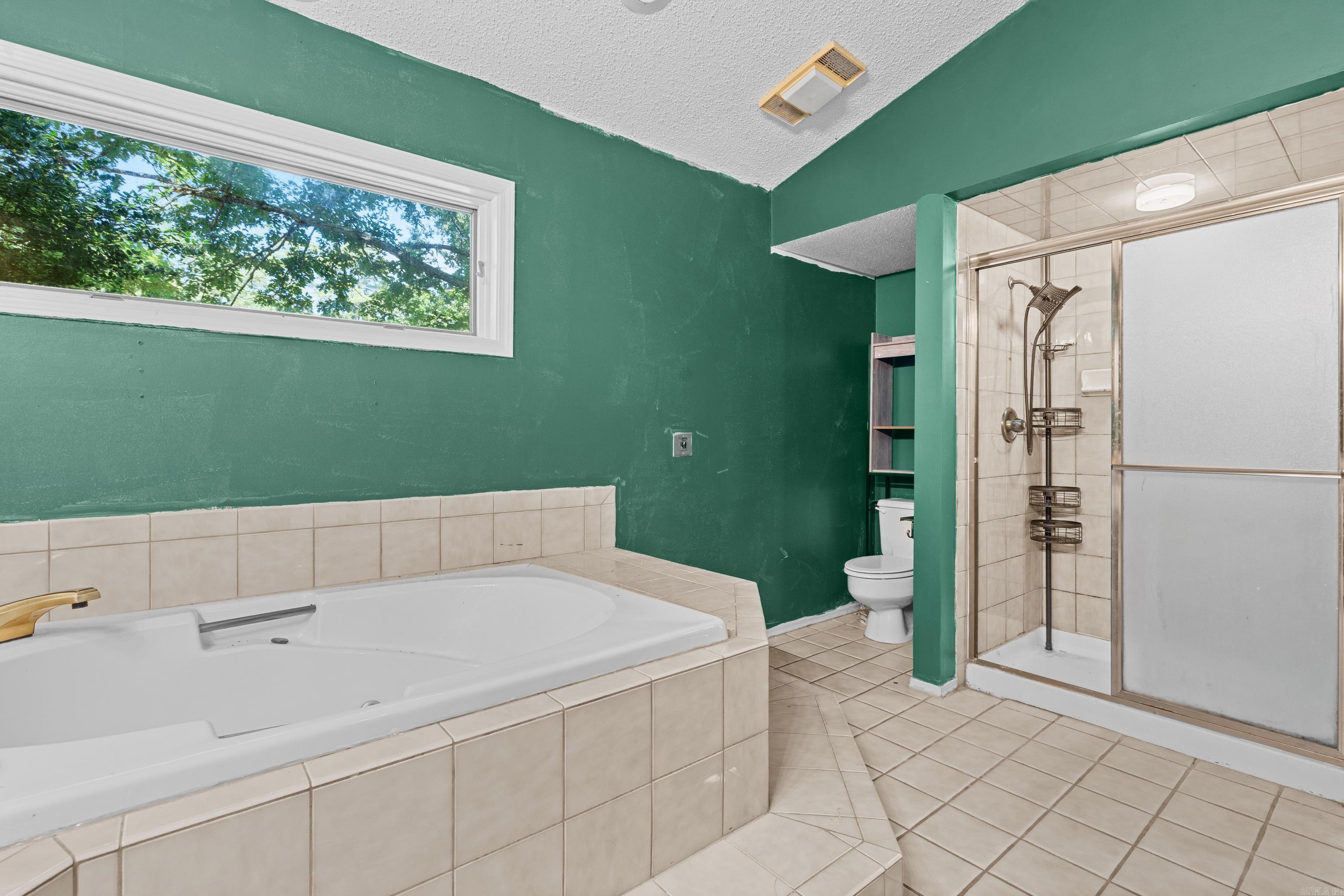 4 Quisto Circle Hot Springs Village, AR 71909-0000