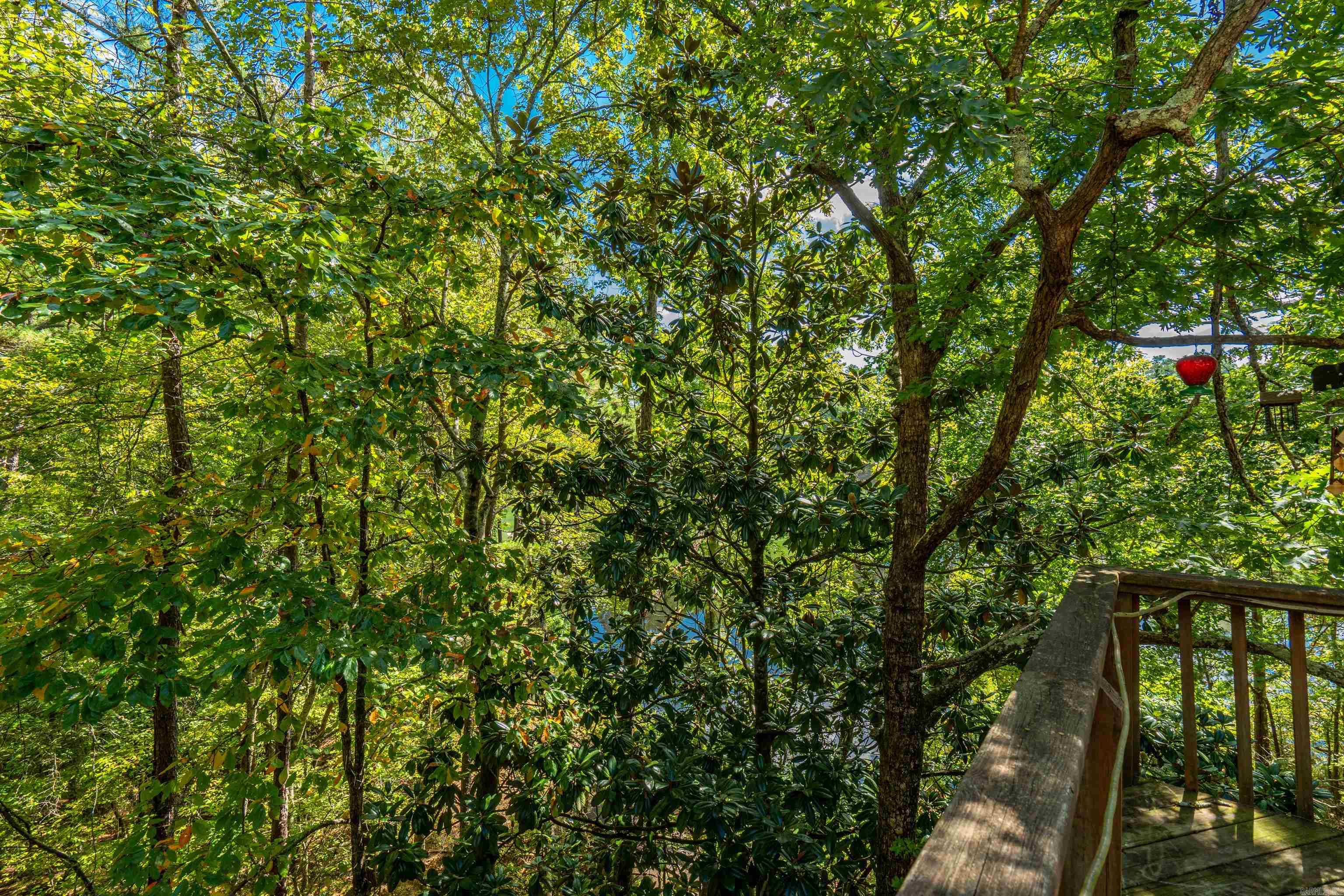 4 Quisto Circle Hot Springs Village, AR 71909-0000