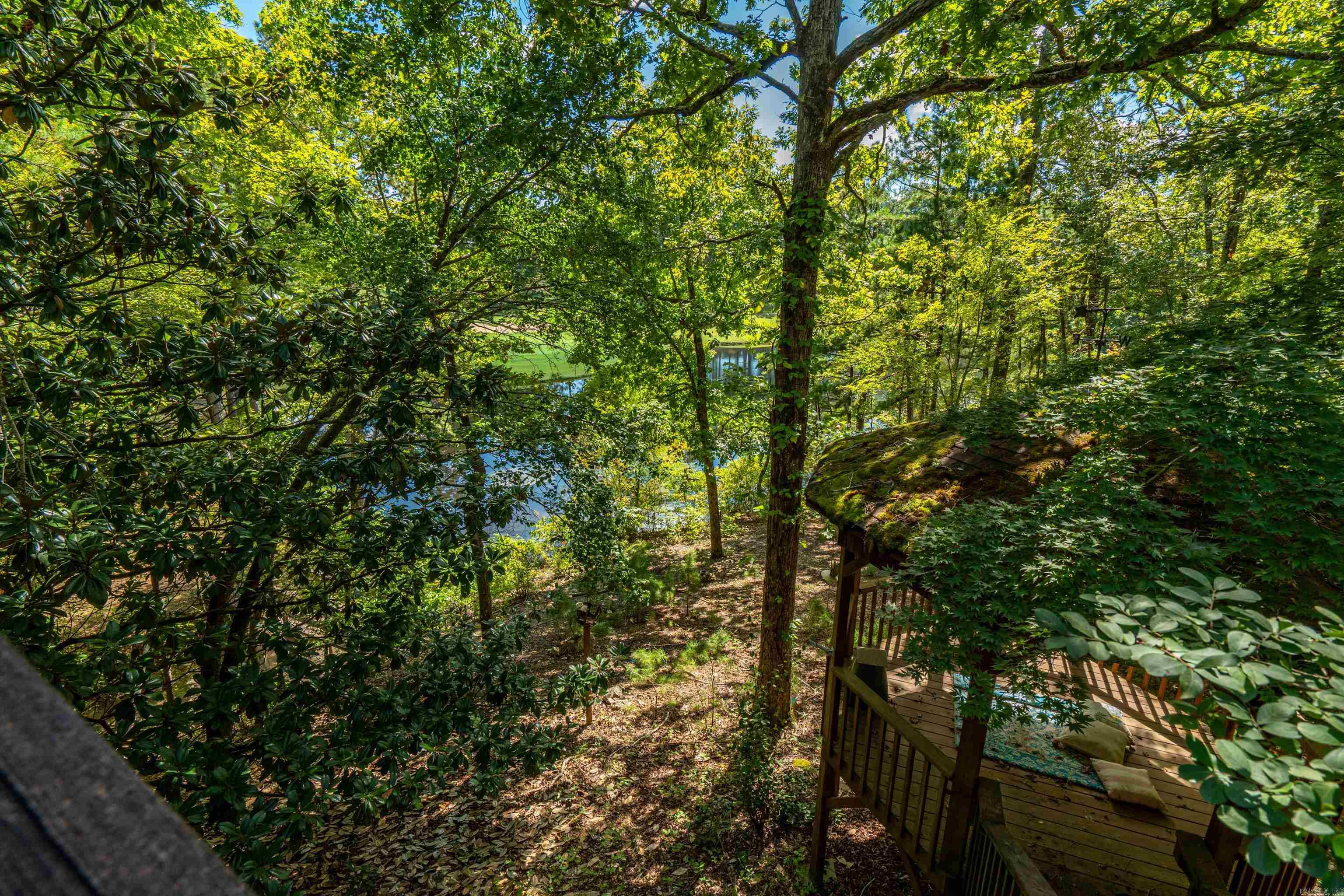 4 Quisto Circle Hot Springs Village, AR 71909-0000