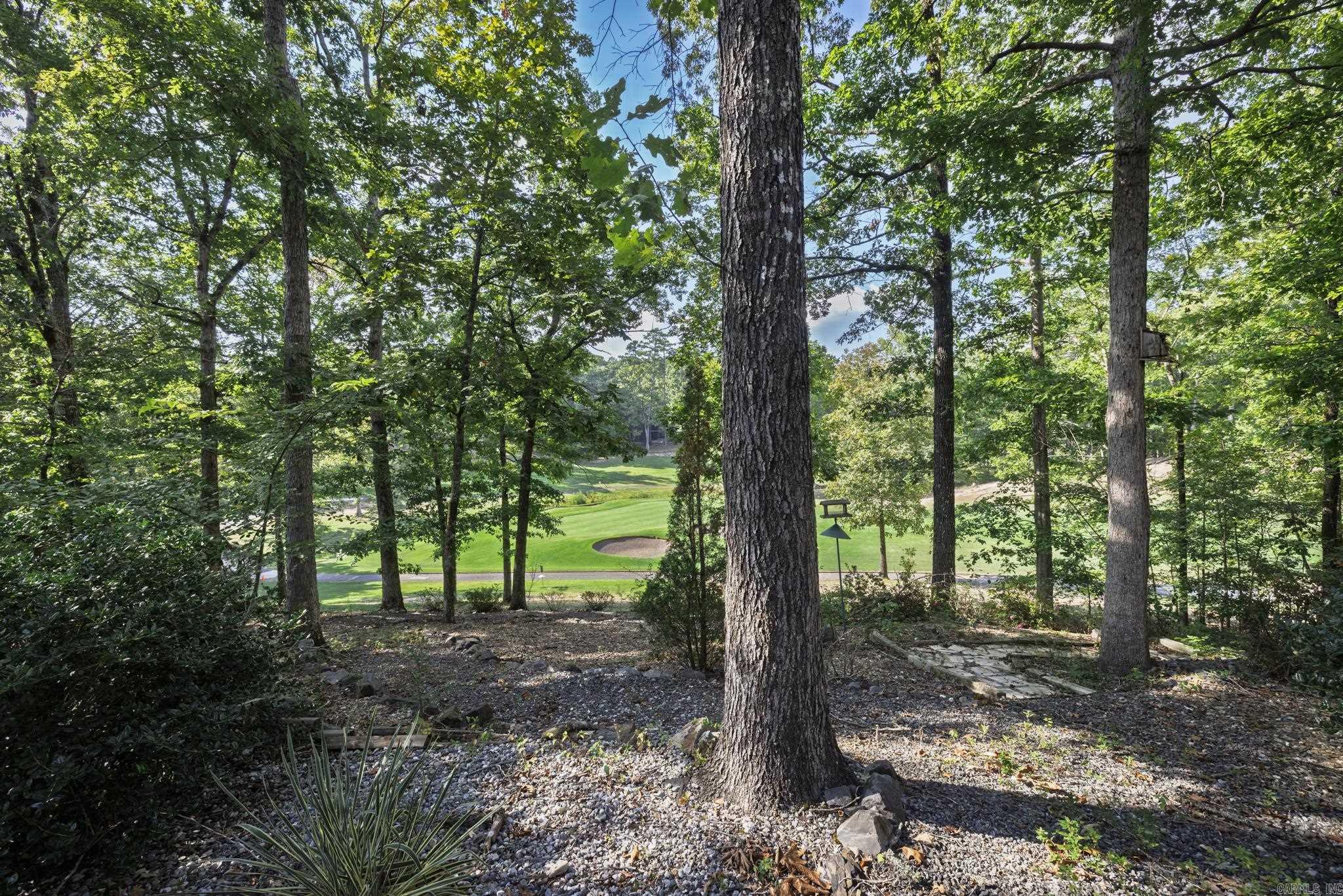 1 Telon  Hot Springs Village, AR