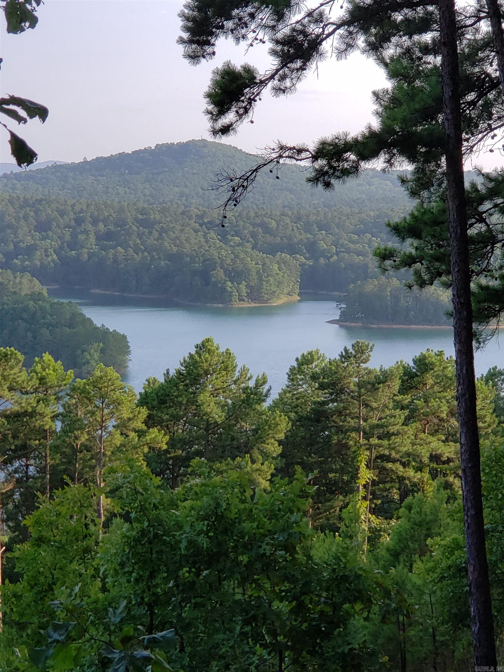 57 Cullerendo Way Hot Springs Village, AR 71909