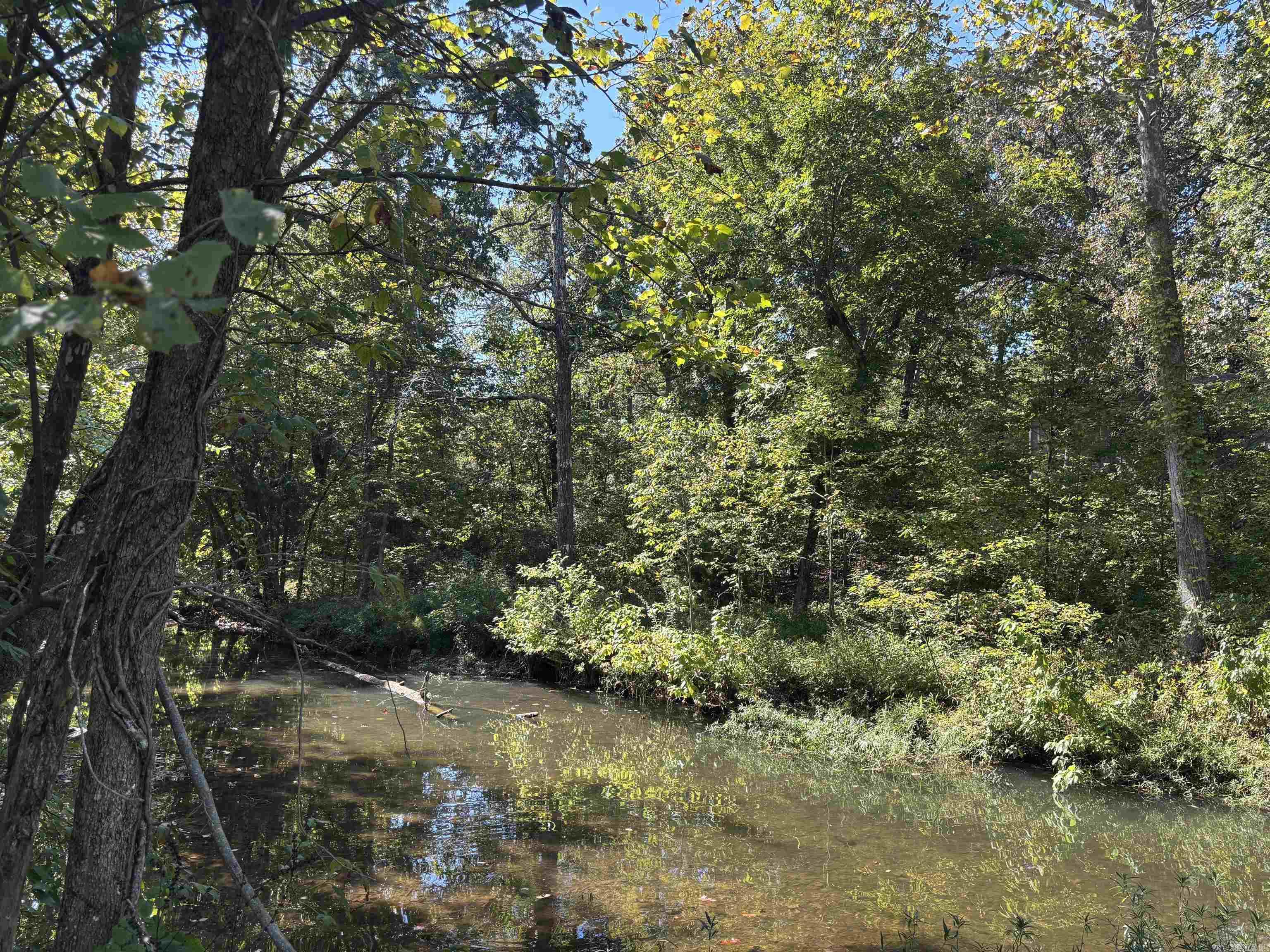 TBD W Lakeshore  Cherokee Village, AR